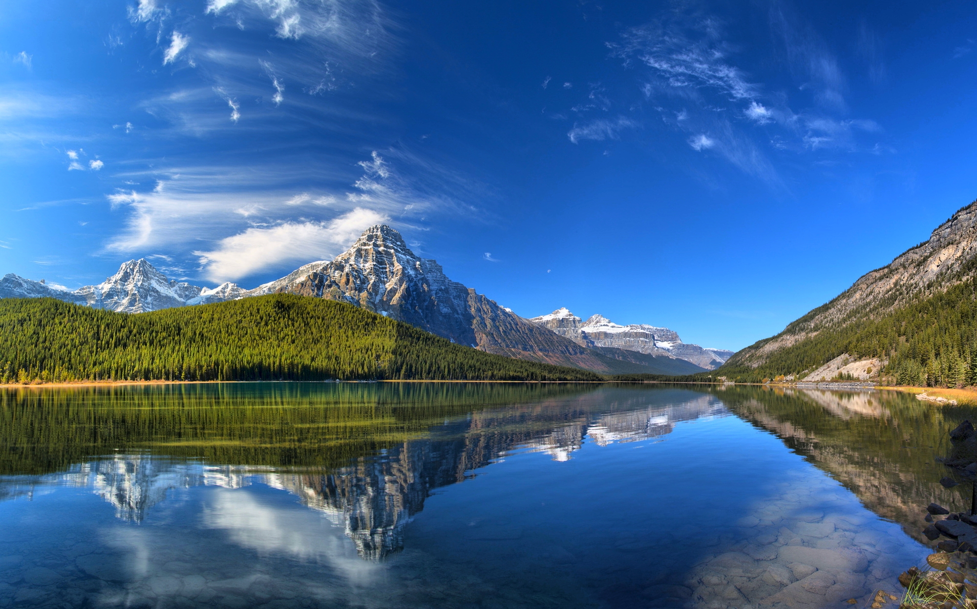 Обои Mount Reflected Forest Waterfowl на рабочий стол