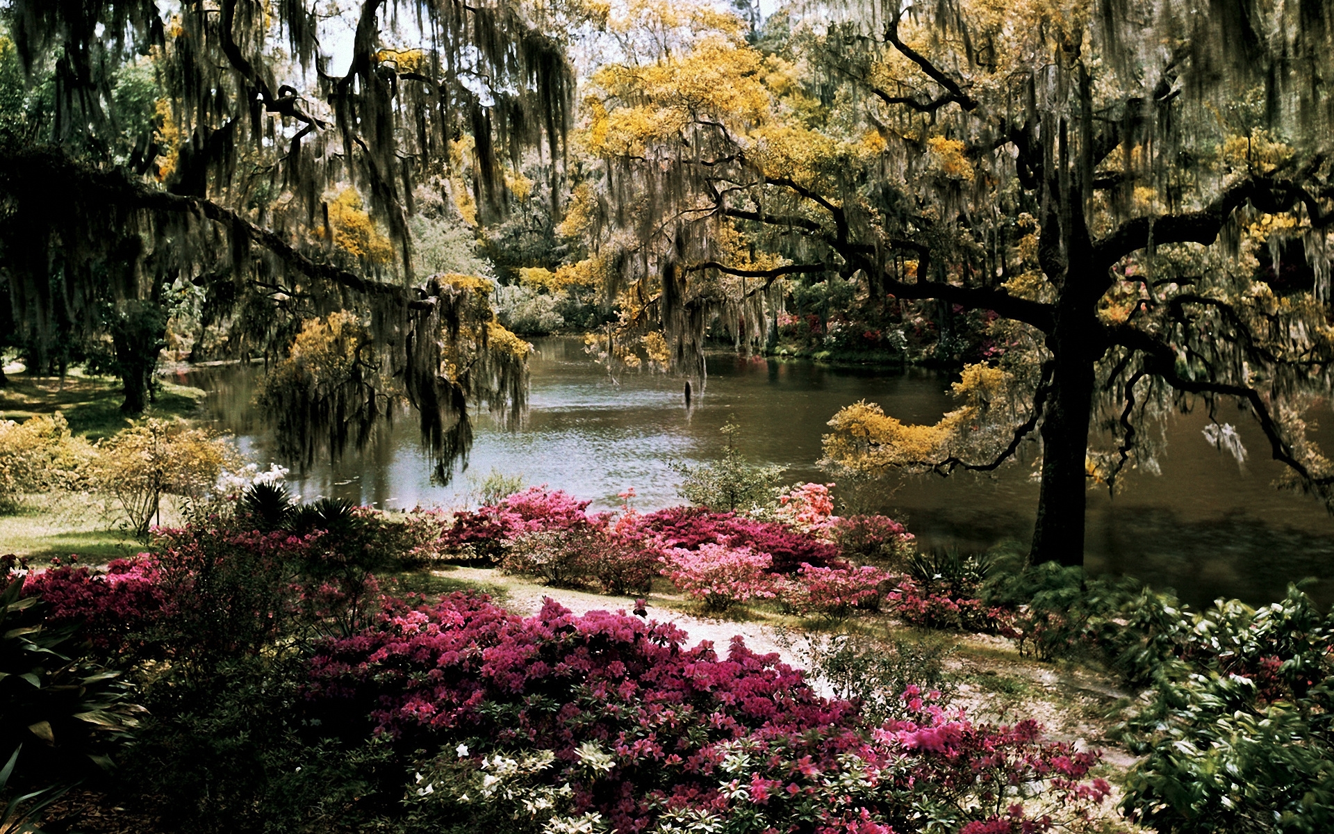 Free photo The river in the botanical garden