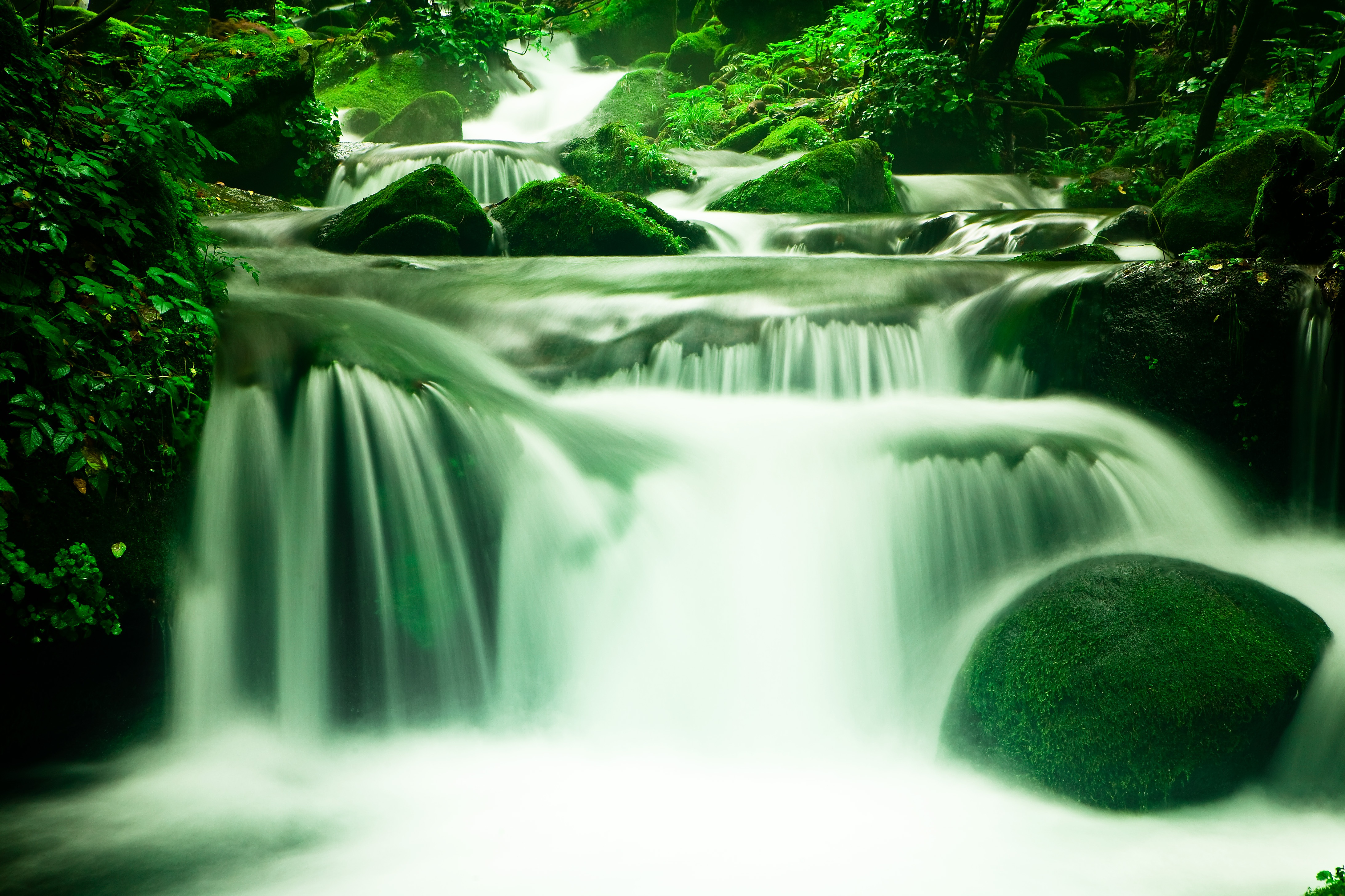 Free photo A waterfall in a dense summer forest