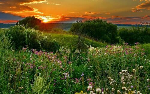 Бесплатное фото Пейзаж.Природа.