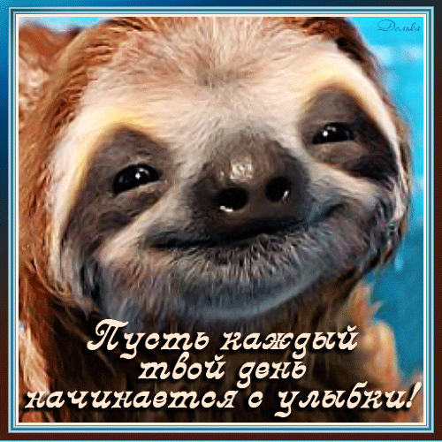 Открытка на тему пожелания добрый день улыбка скачать бесплатно