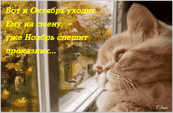 Открытка на тему природа октябрь осень скачать бесплатно