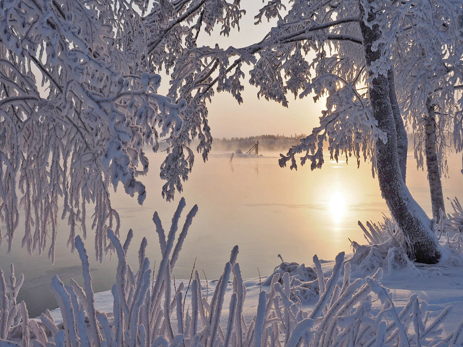 Wallpapers Savonlinna Lake Saimaa trees on the desktop