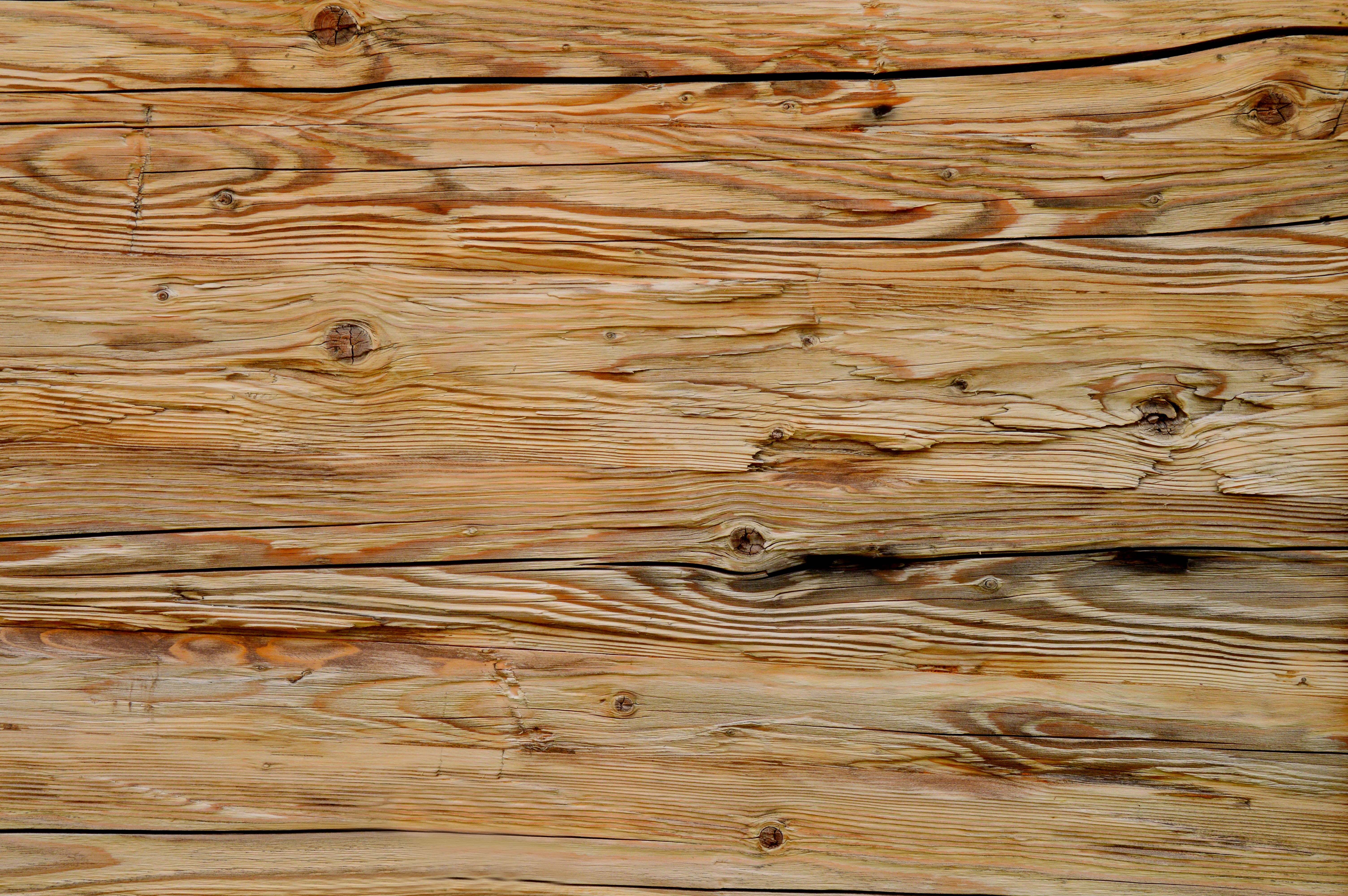 Бесплатное фото Фон из древесной структуры