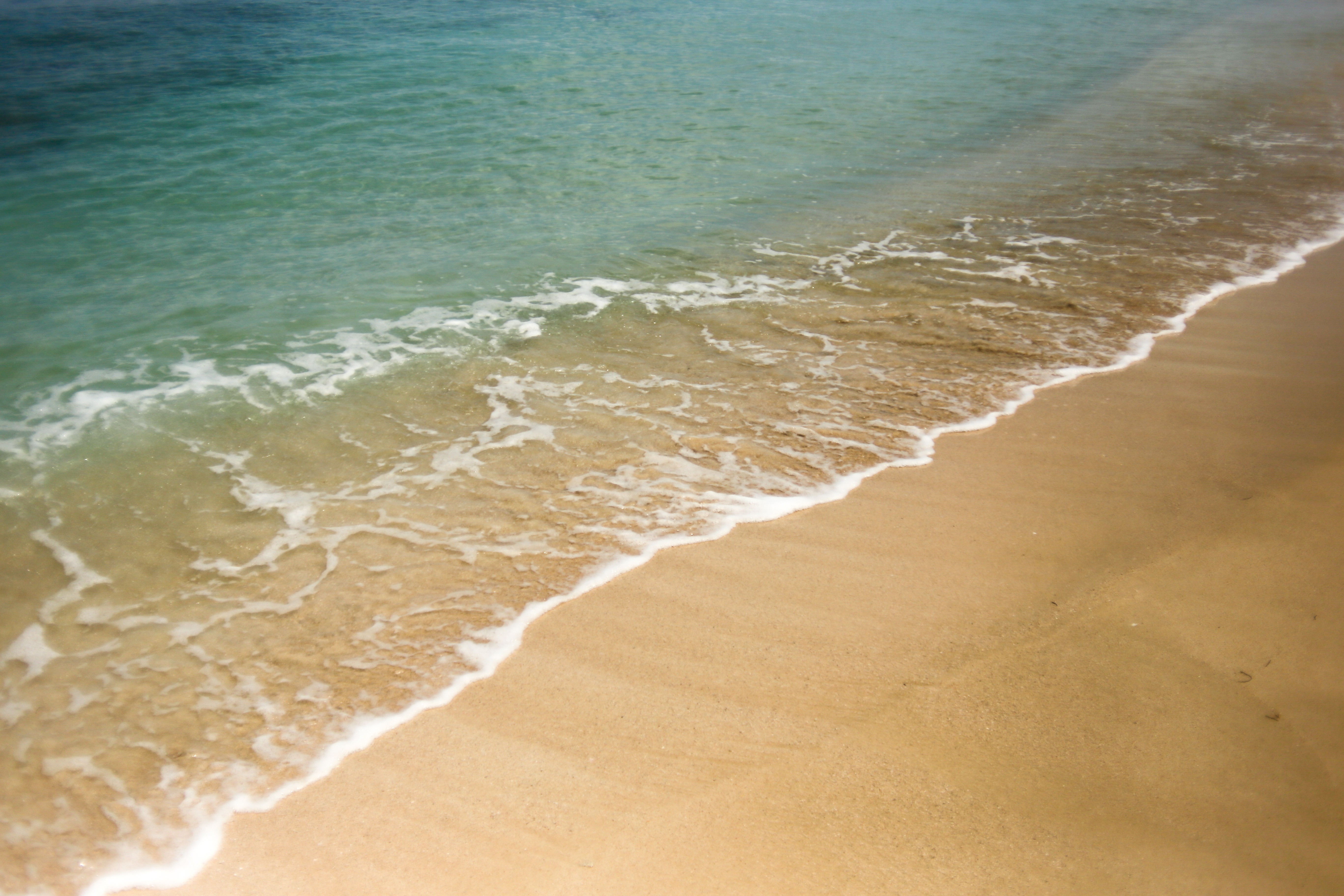 Free photo Sandy seashore with clear water