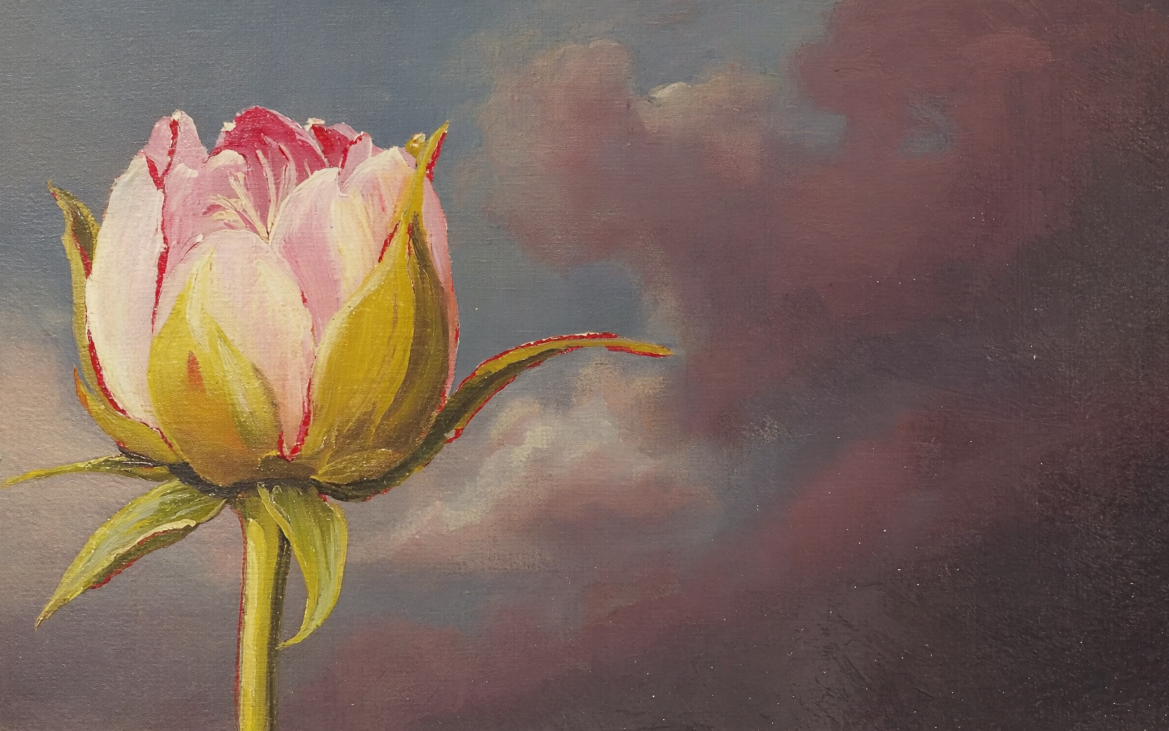 Бутон цветка пиона на фоне облаков