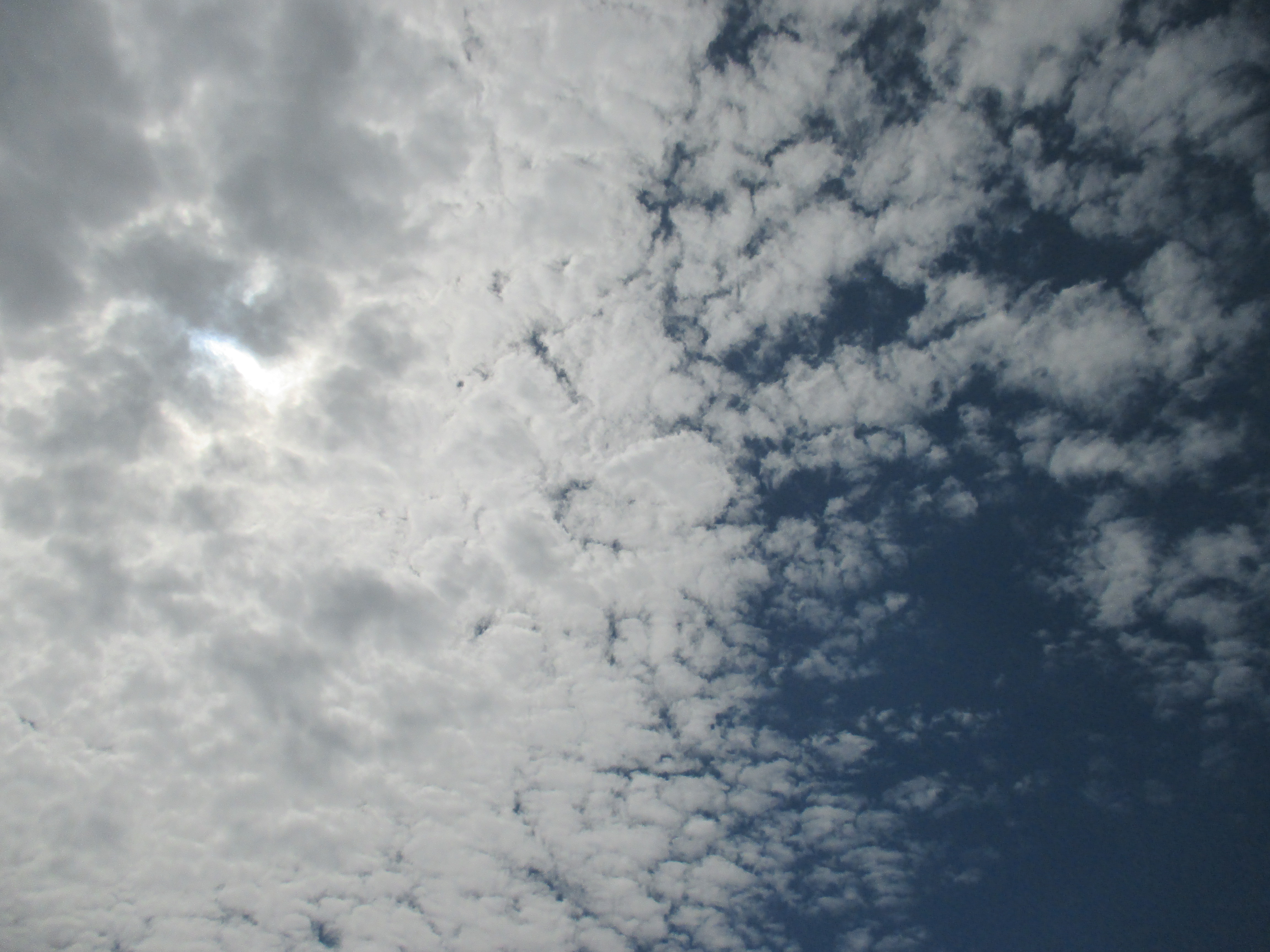 Бесплатное фото Небо 98765