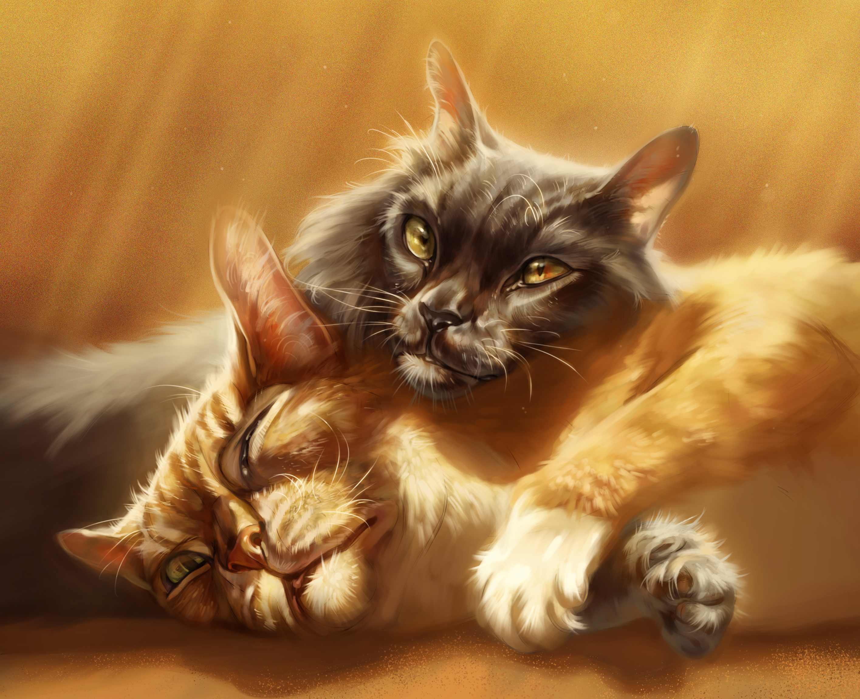 Wallpapers cats cat and cat drawing on the desktop