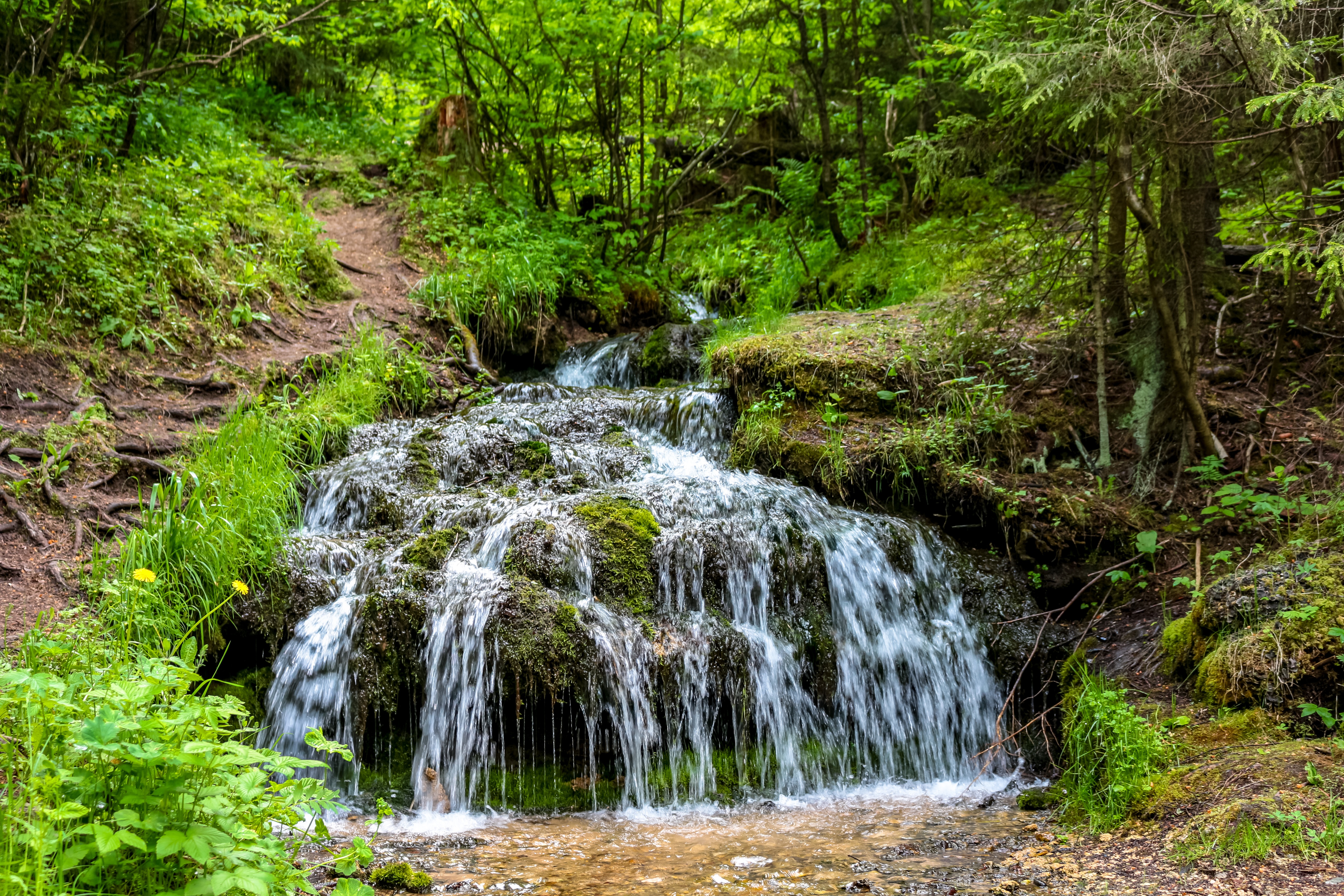 Wallpapers rattlesnake Creek brook stream on the desktop