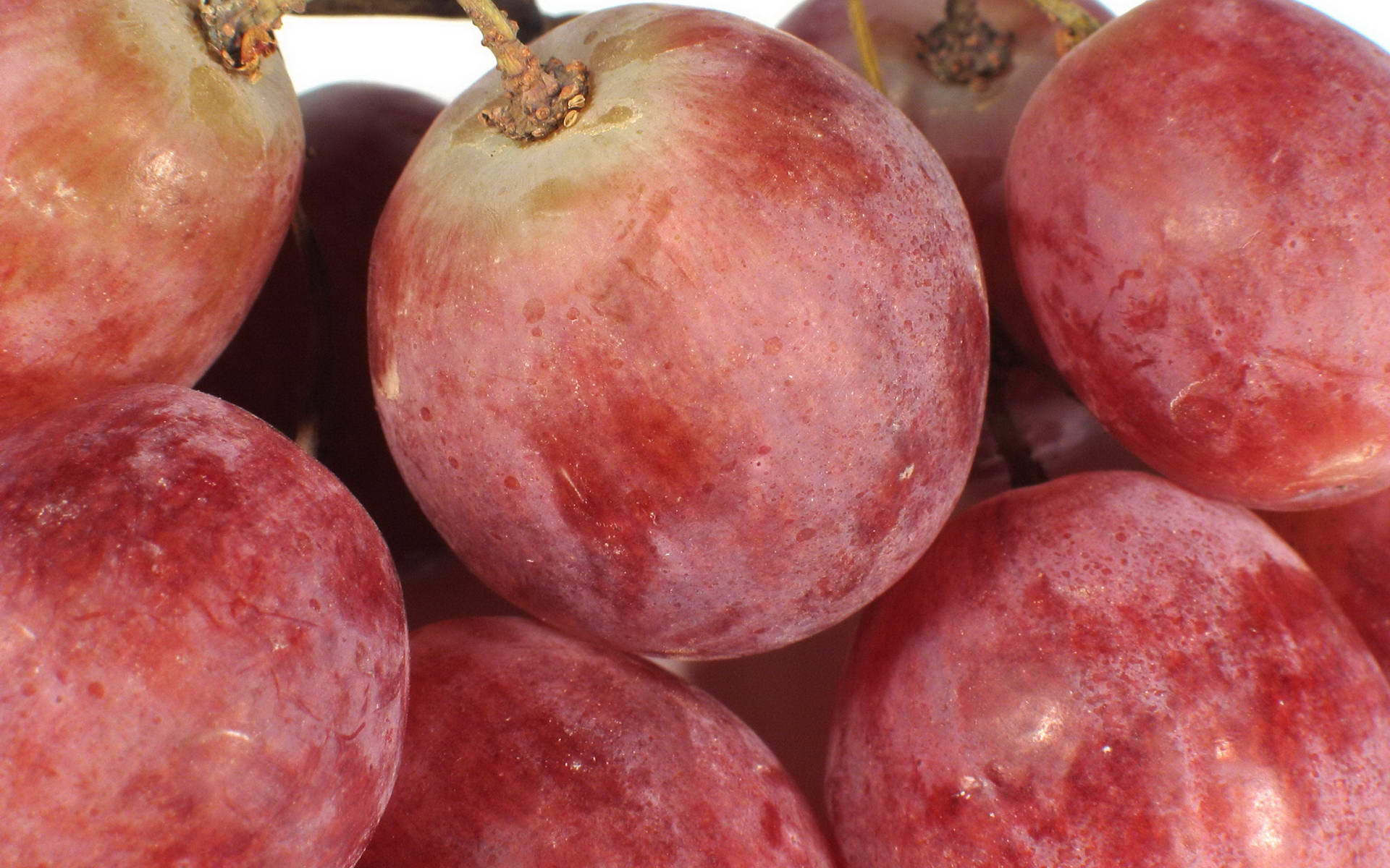 Wallpapers ripe grapes berry on the desktop