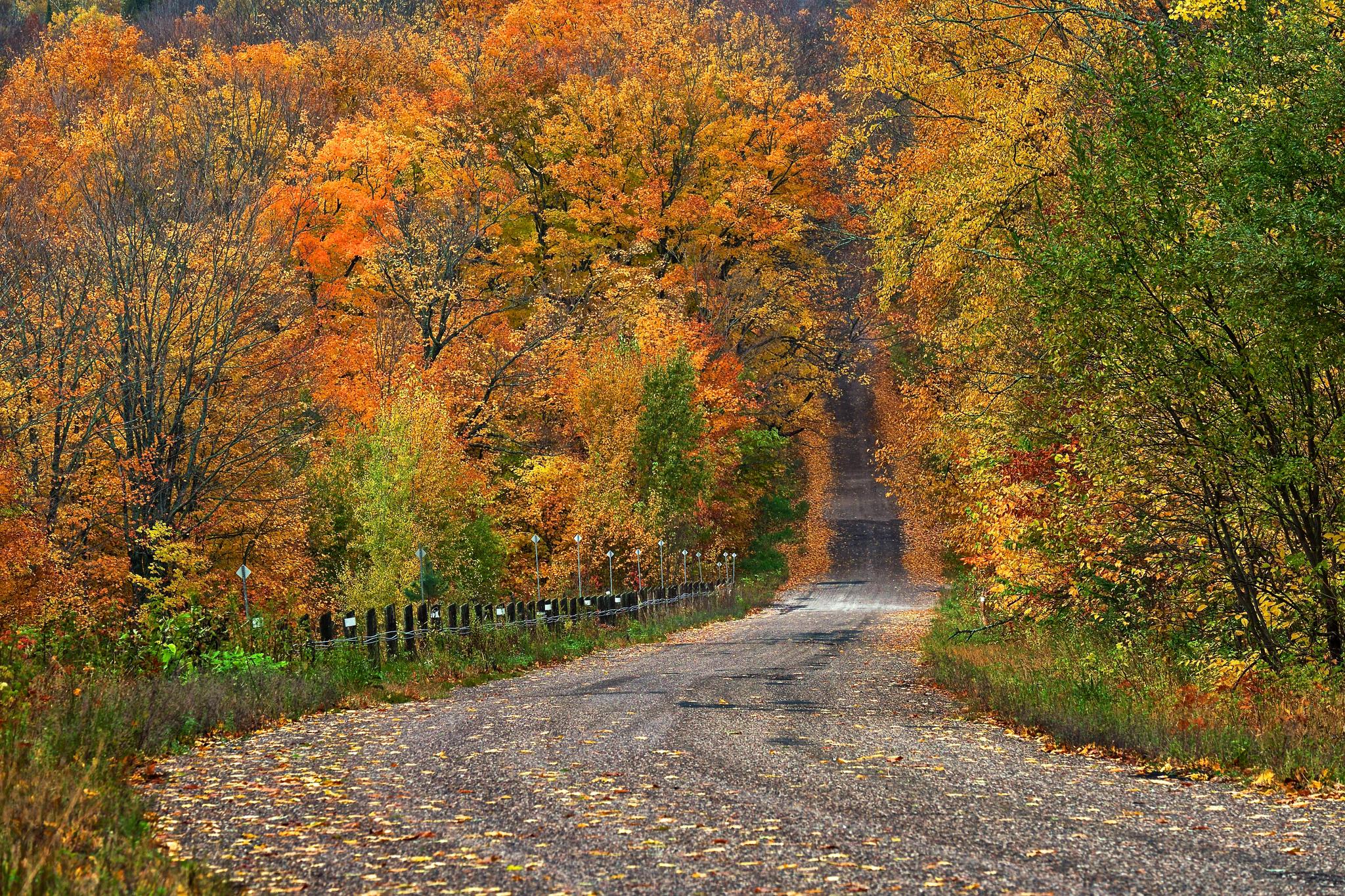 Wallpapers village road landscapes trees on the desktop