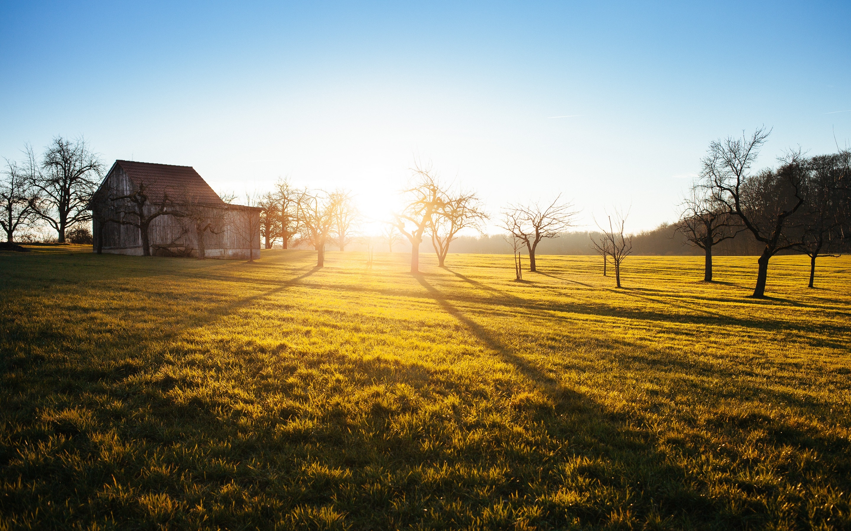 Free photo A barn in a field on a sunny afternoon