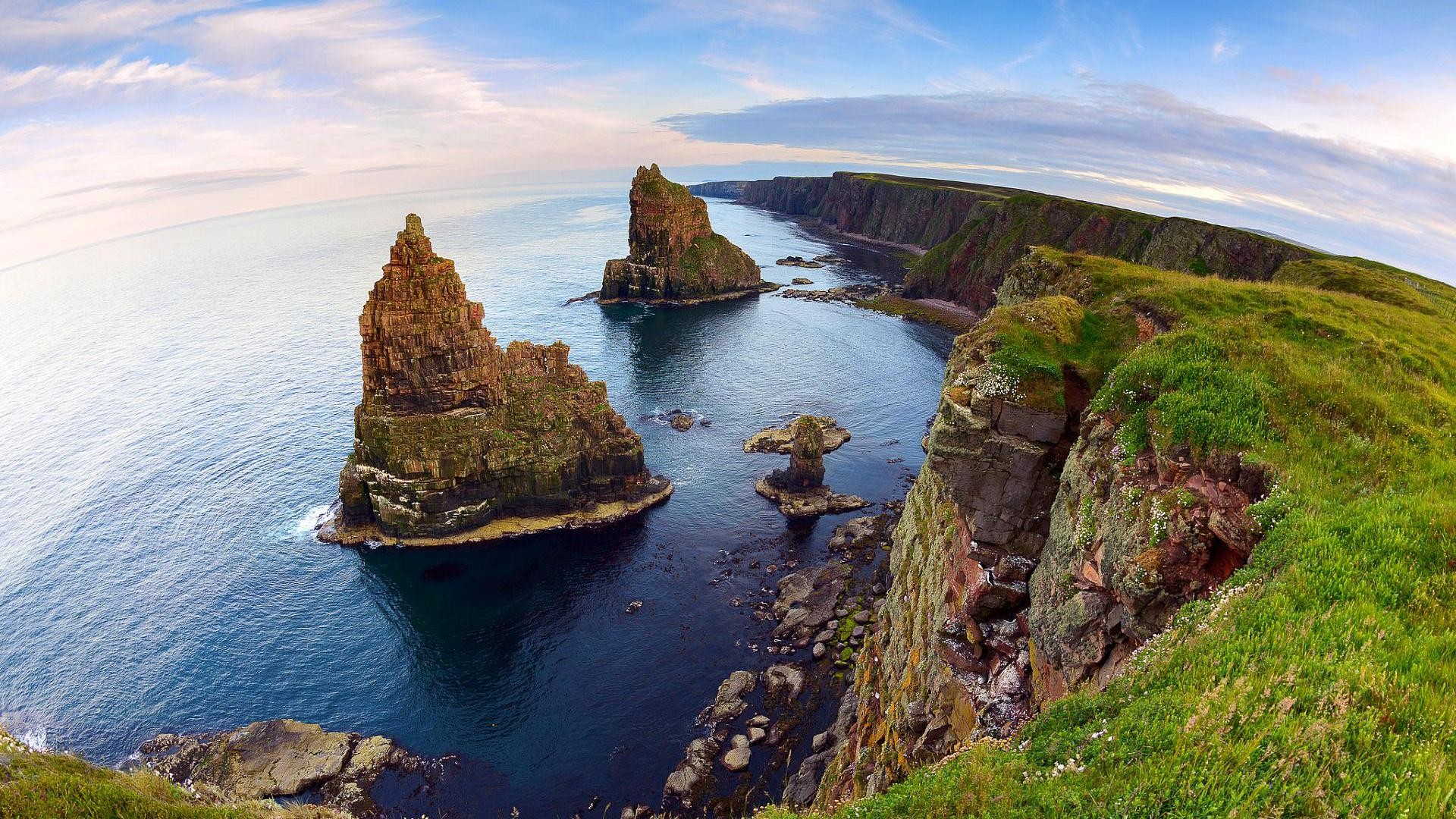 Caithness Sea Cliffs