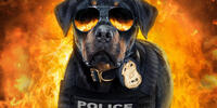 Police dog