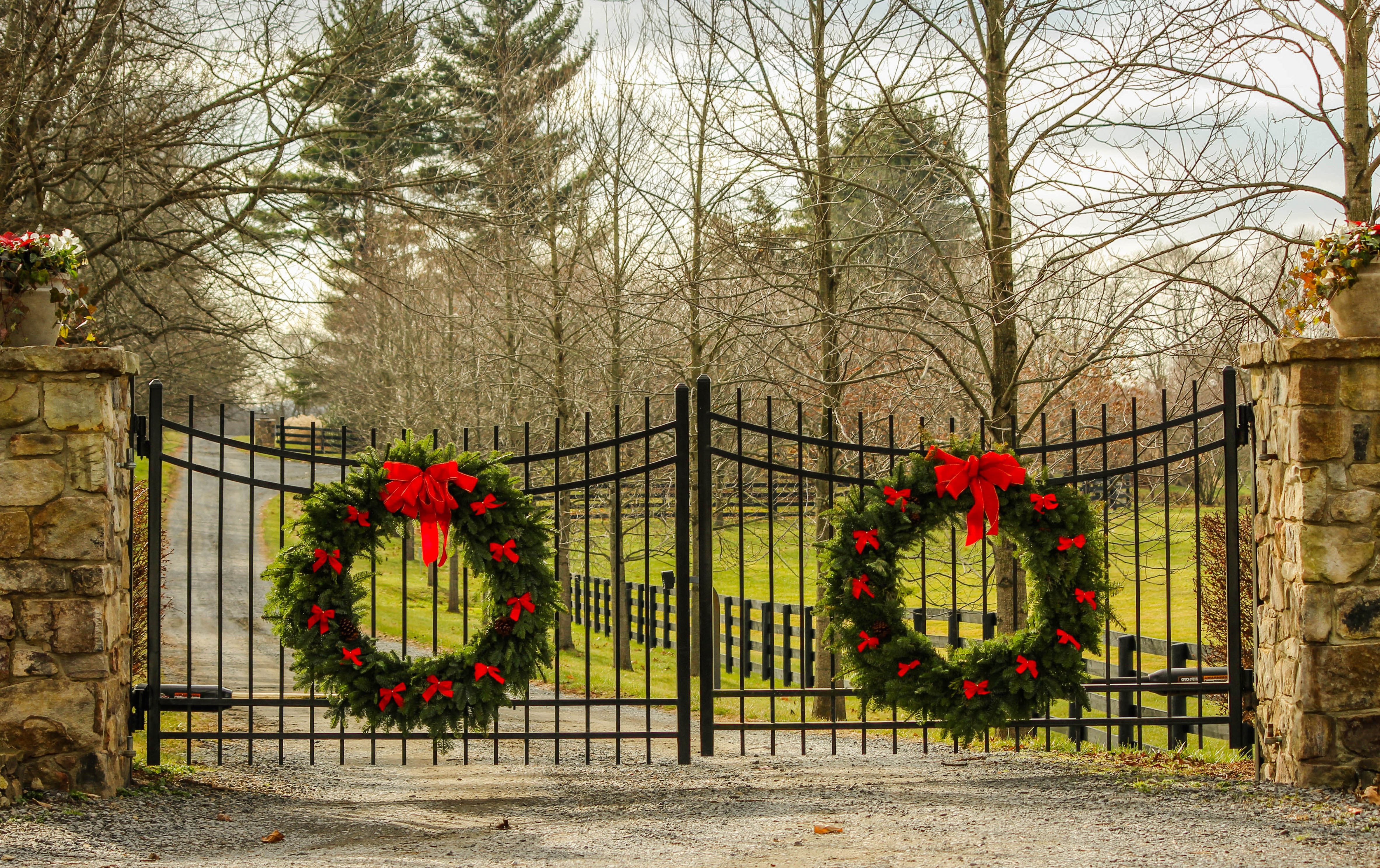 Free photo Festive vinks on the gate