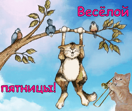 Открытка на тему пятница напитки кошки скачать бесплатно