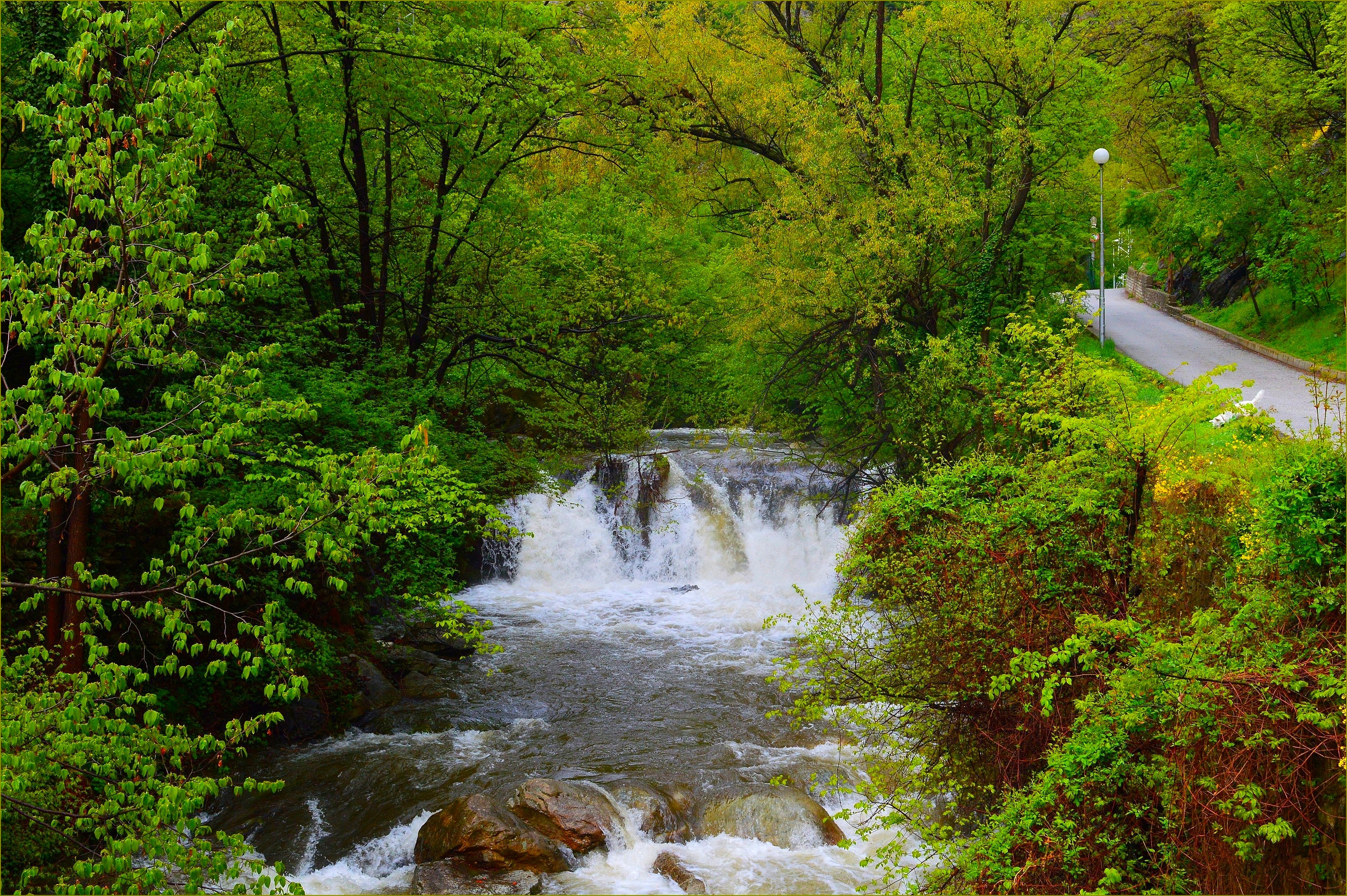 Wallpapers river road nature on the desktop