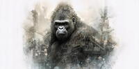 Рисунок гориллы на белом фоне