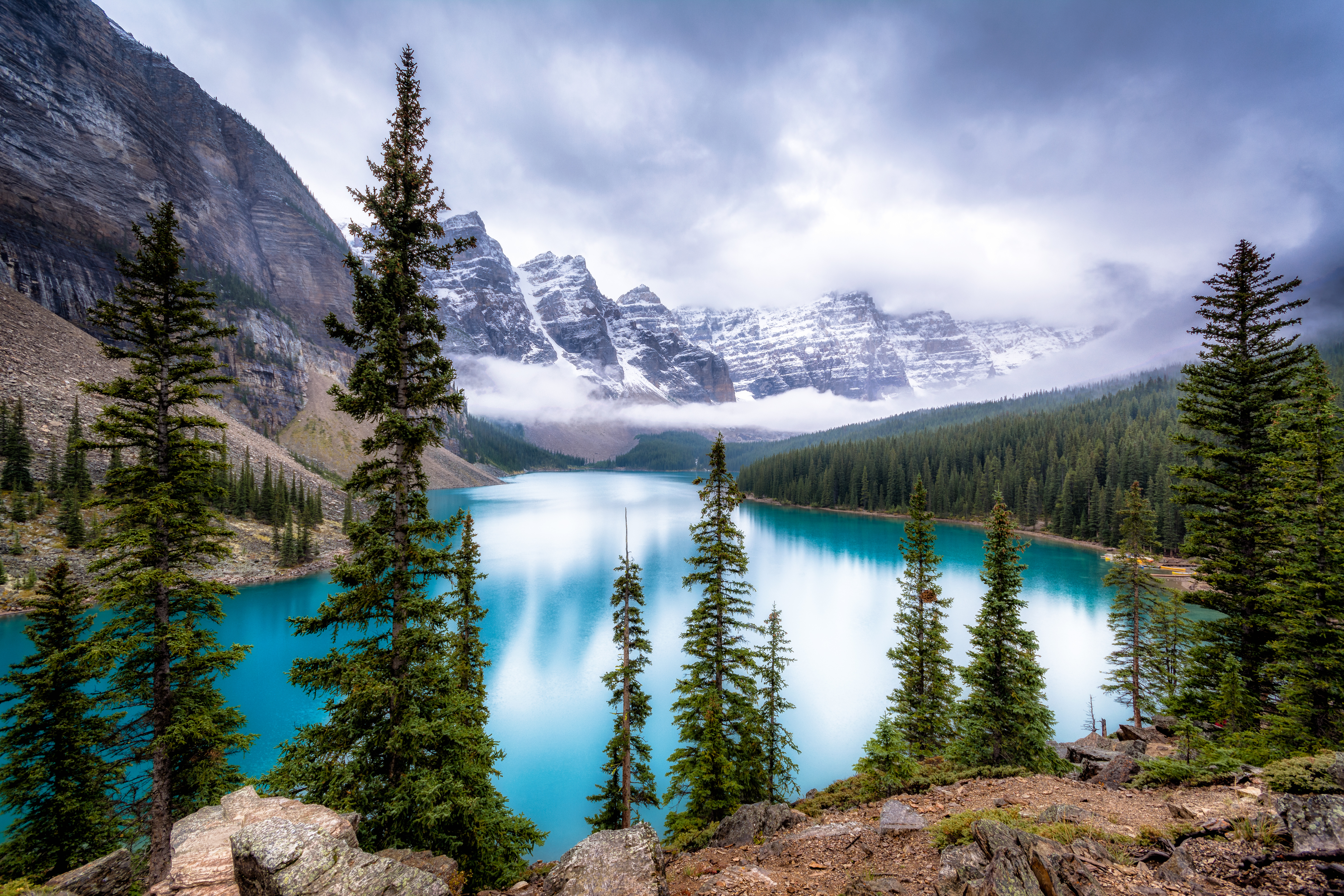 Wallpapers trees Lake Moiraine Lake Moraine on the desktop