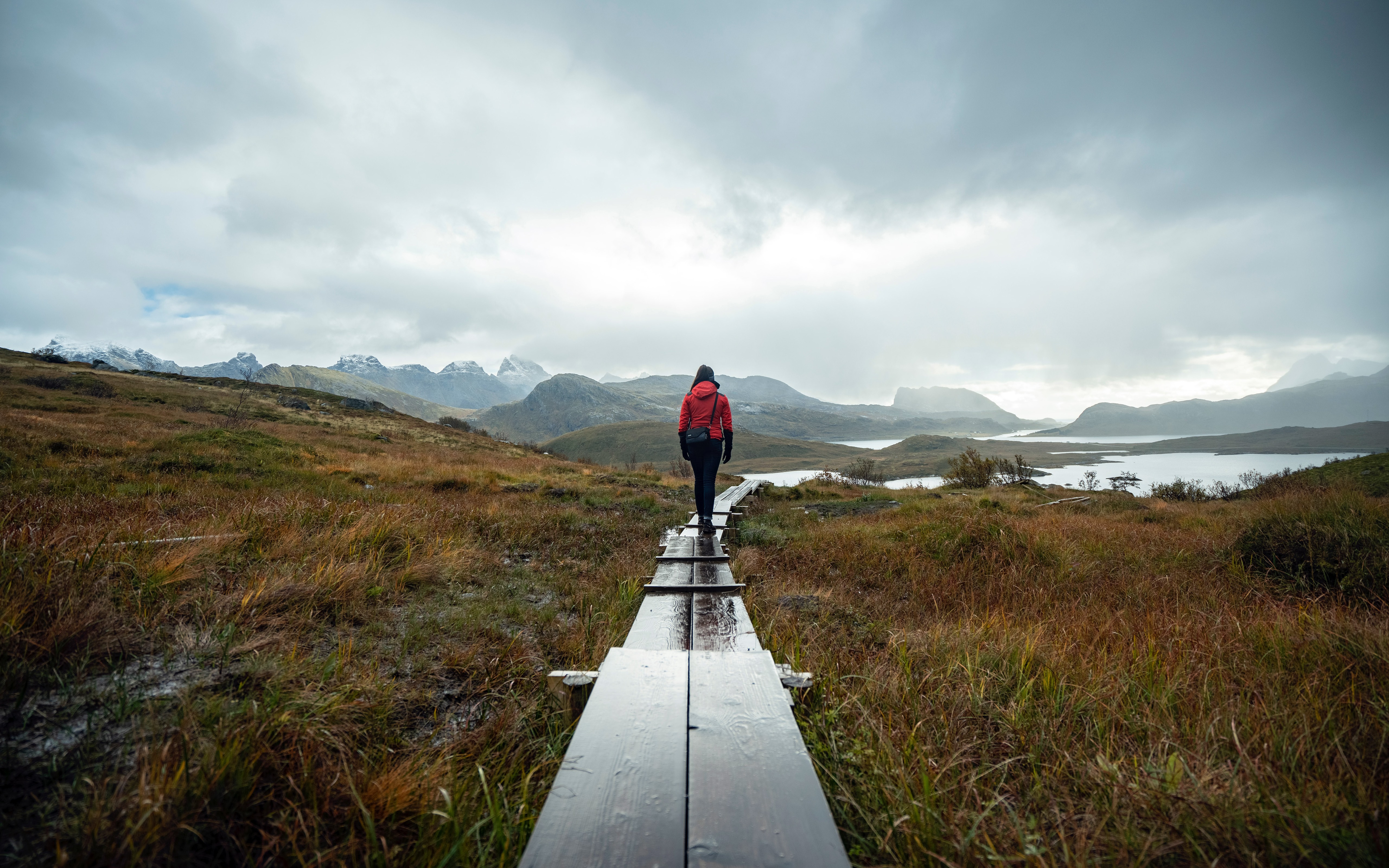 Free photo Boardwalk