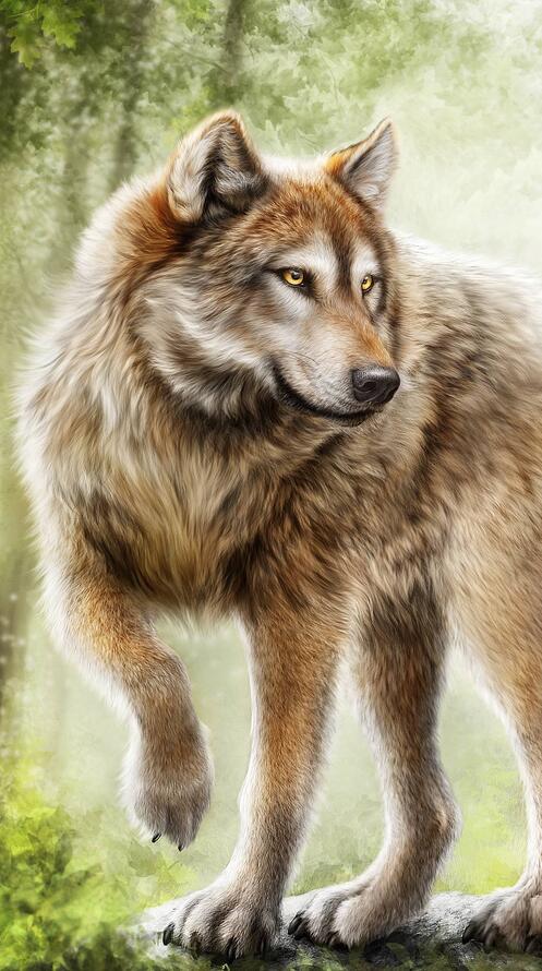 Обои волк хищник art на рабочий стол