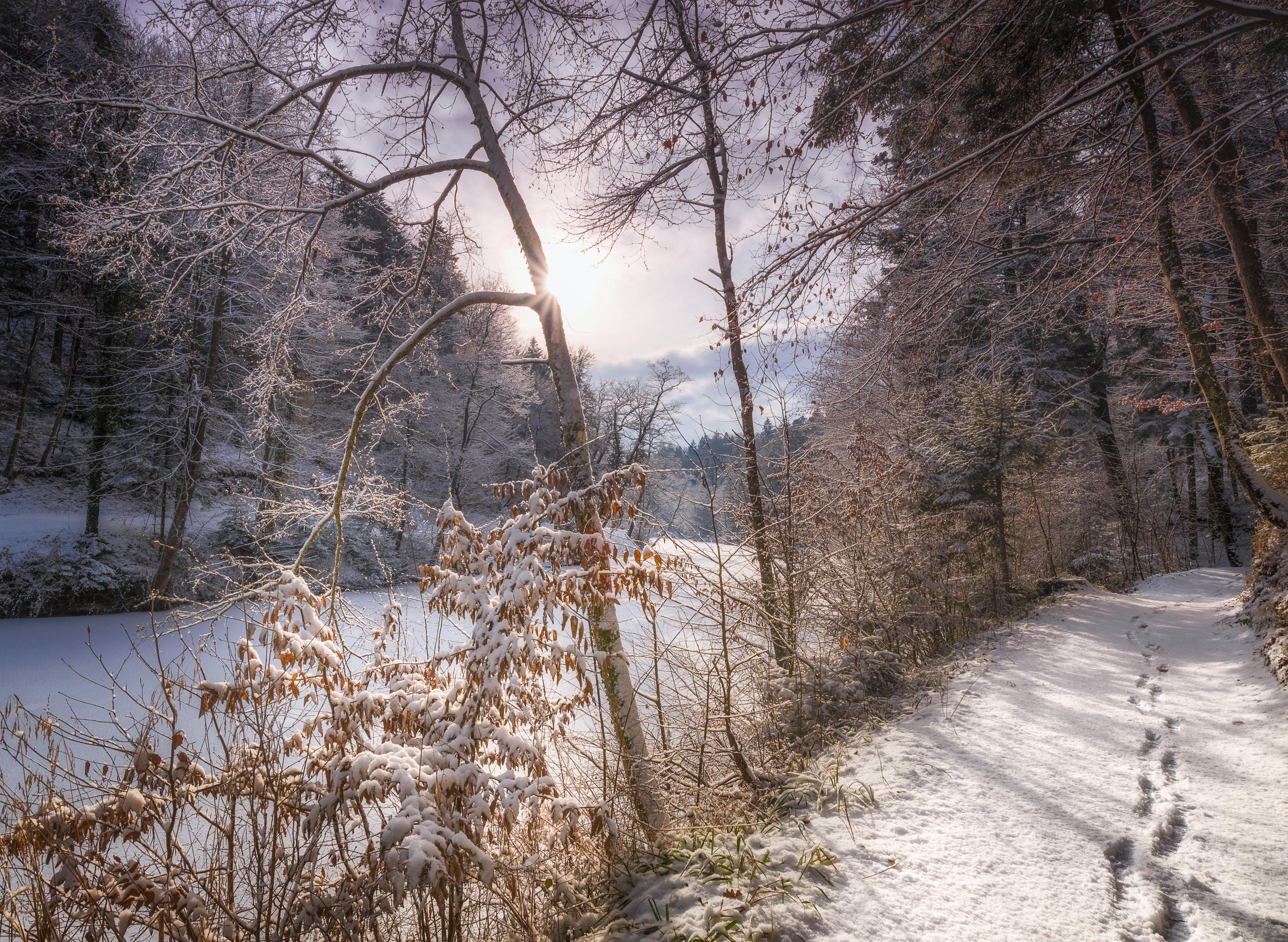 Wallpapers winter river road on the desktop