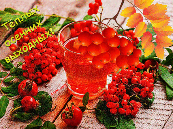 Postcard on the theme berries drink postcard download for free