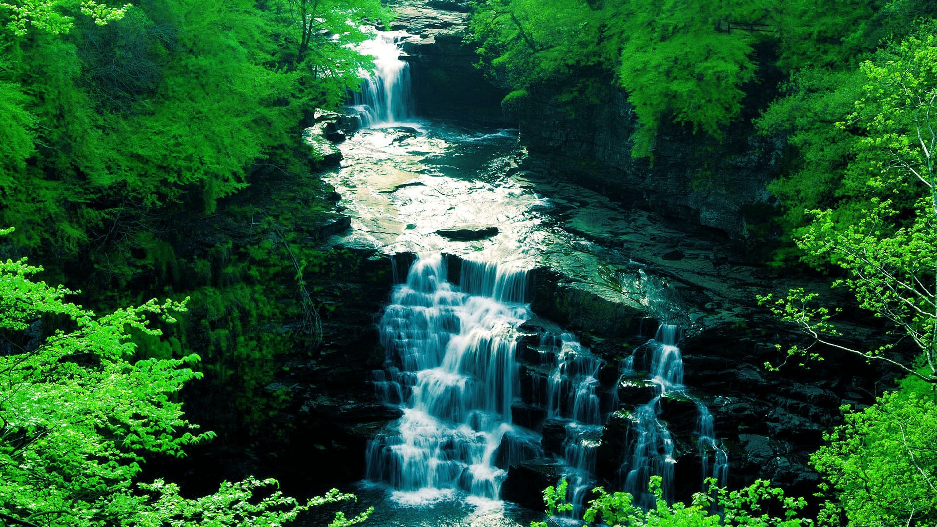 Бесплатное фото Опасный водопад в лесу