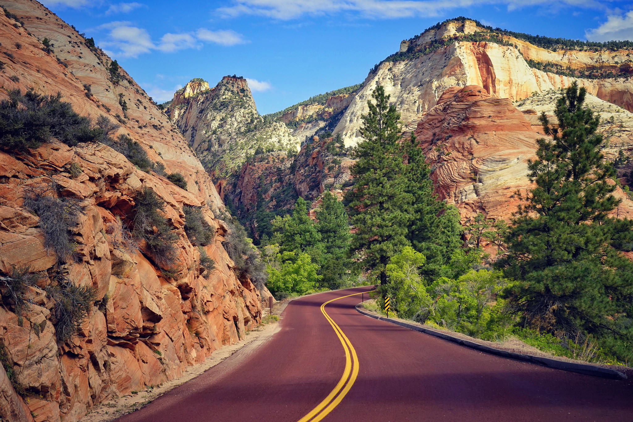 Wallpapers mountains Zion National Park trees on the desktop