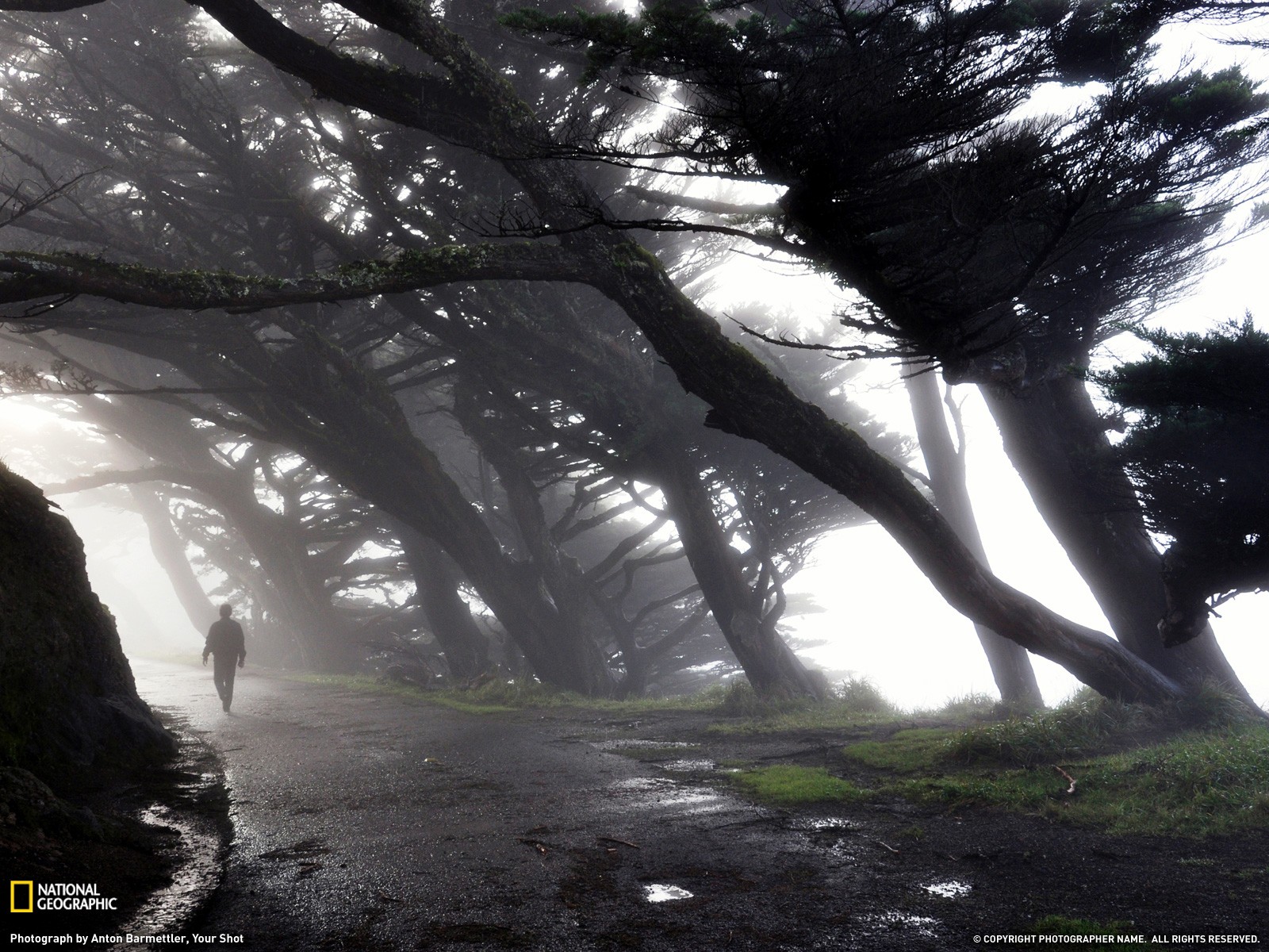 Wallpapers men sunlight trees on the desktop