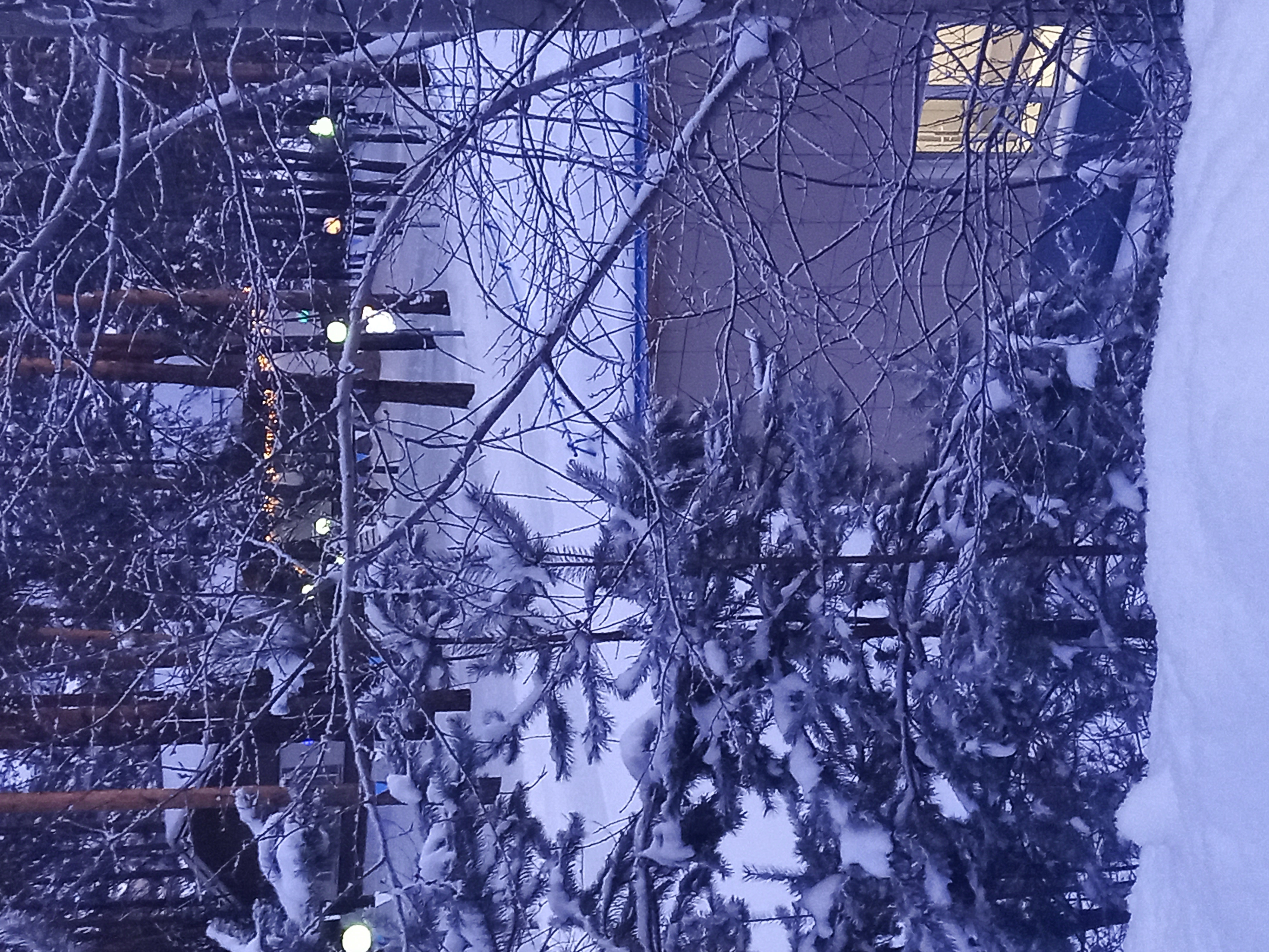 Free photo Winter Morning