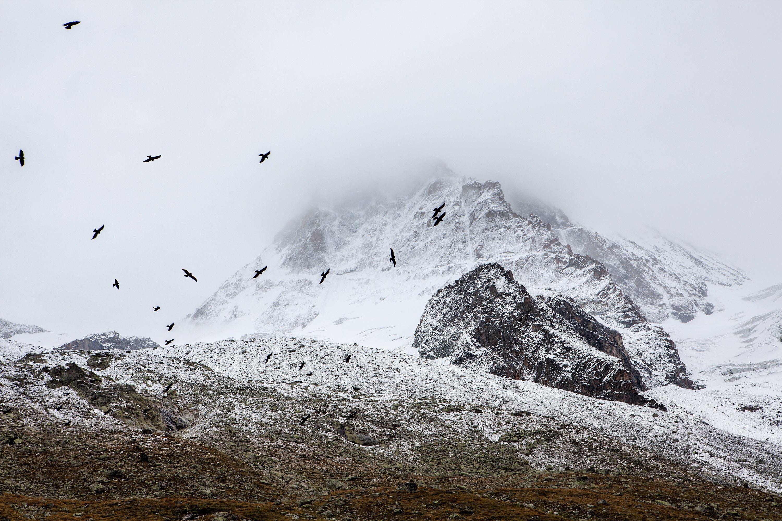 Wallpapers mountains snow winter on the desktop