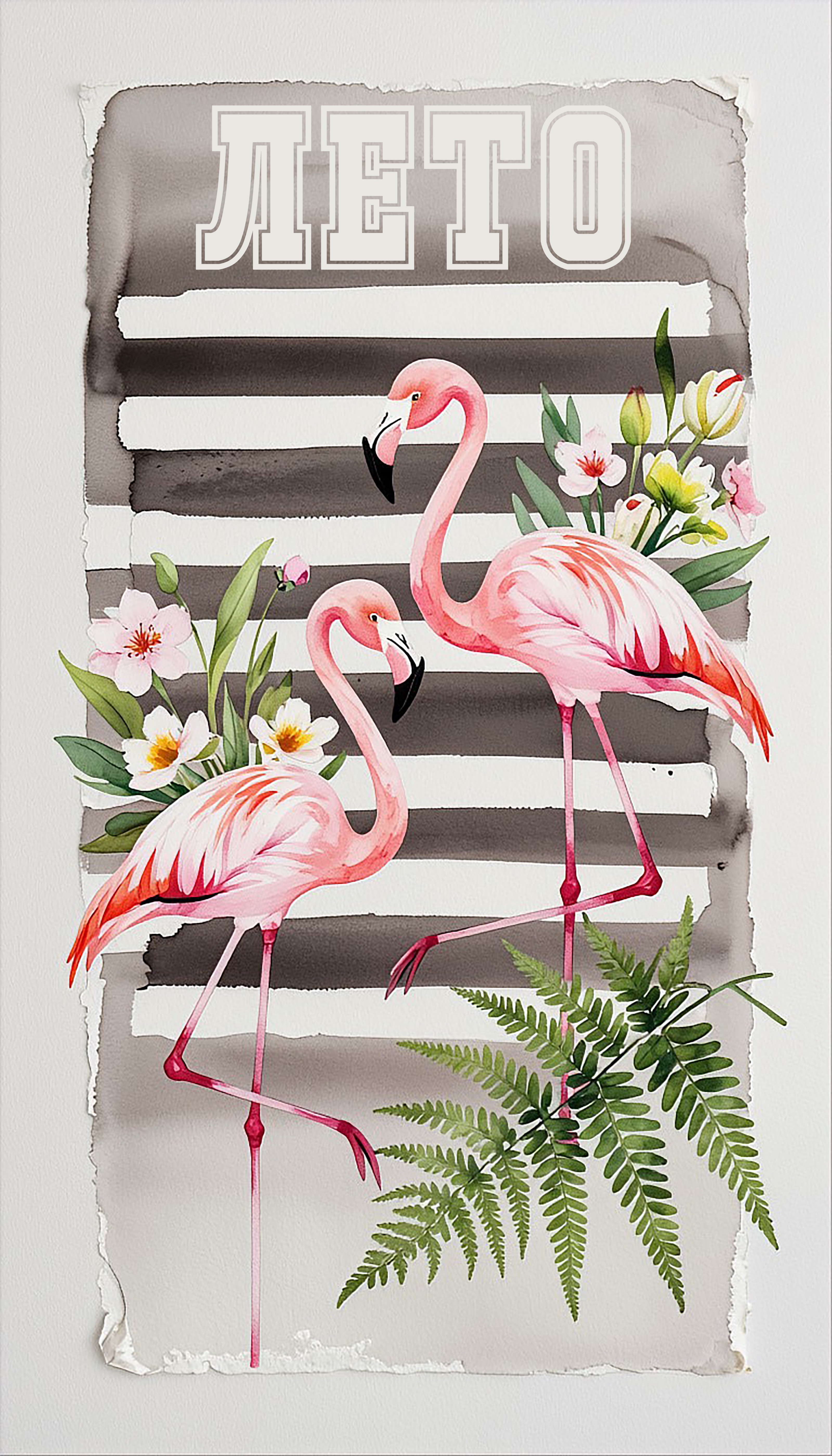 免费照片火烈鸟和夏天