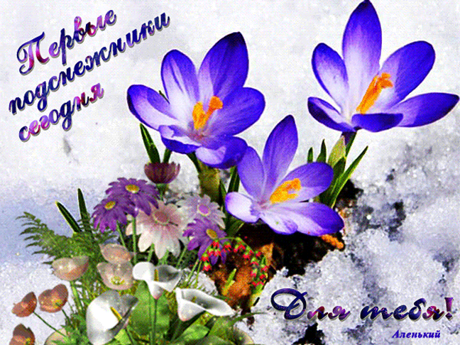 Postcard on the theme flowers snowdrops flowers blue download for free