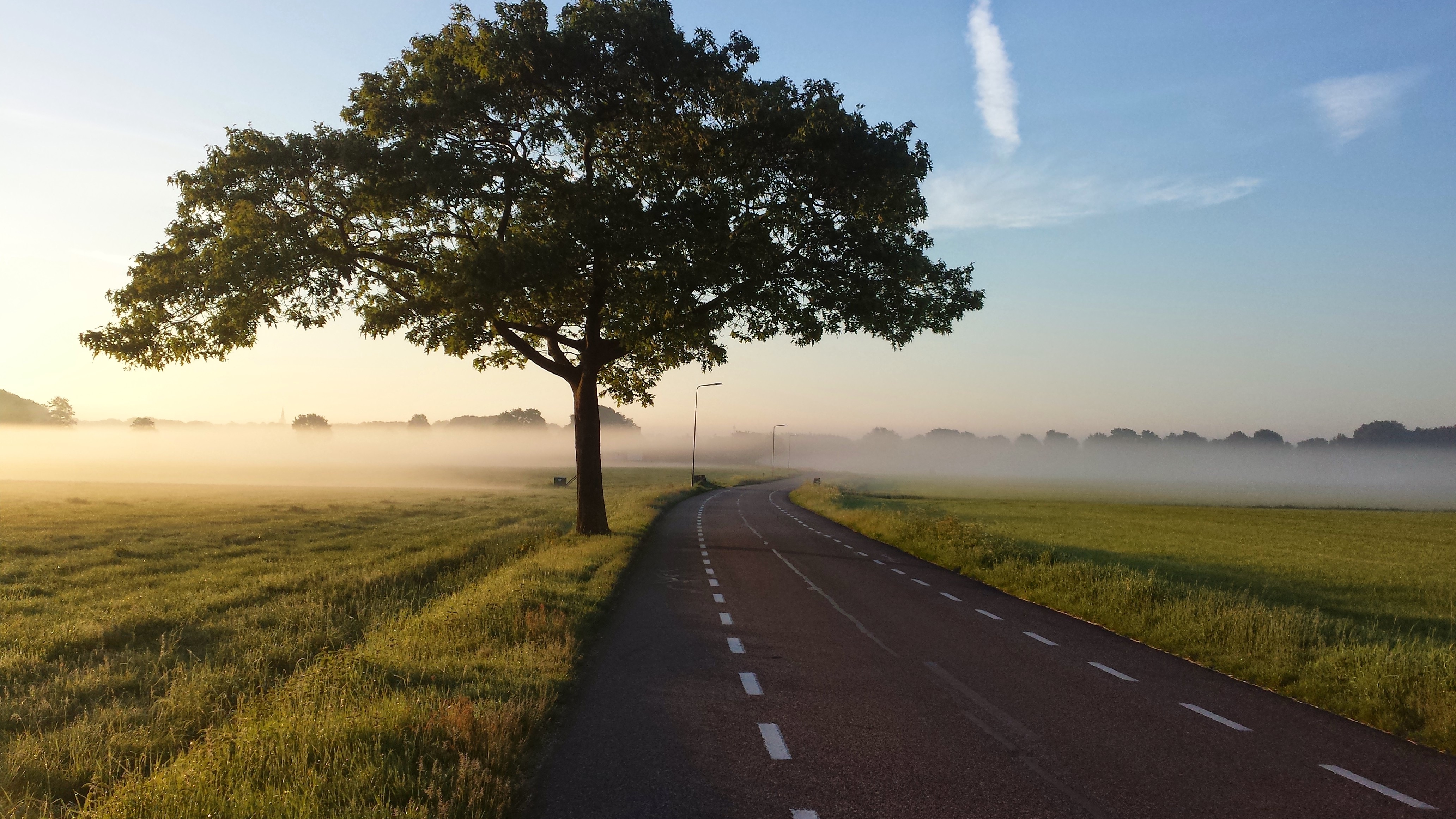 Free photo A paved road through a foggy field