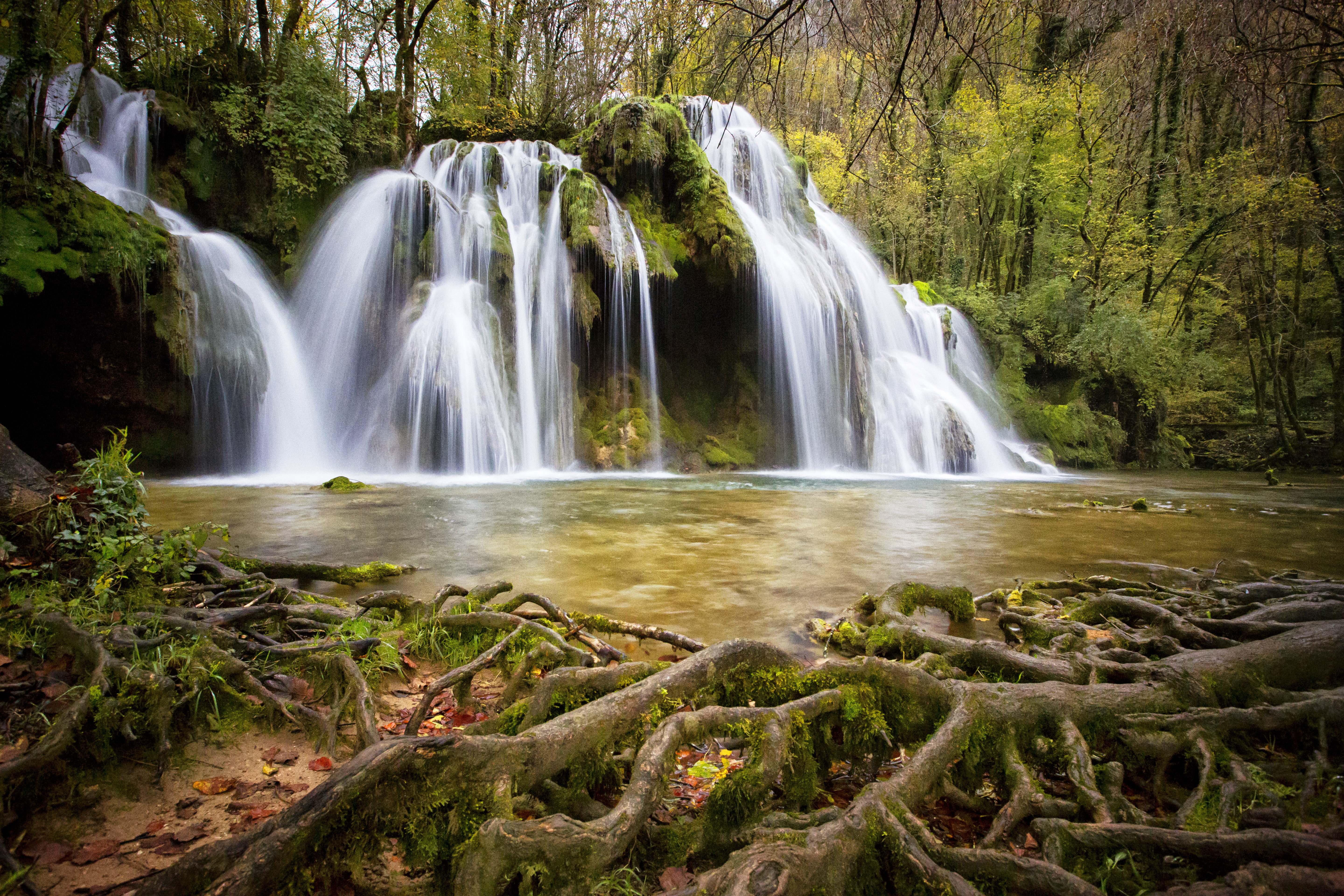 Free photo A waterfall in the forest surrounded by moss