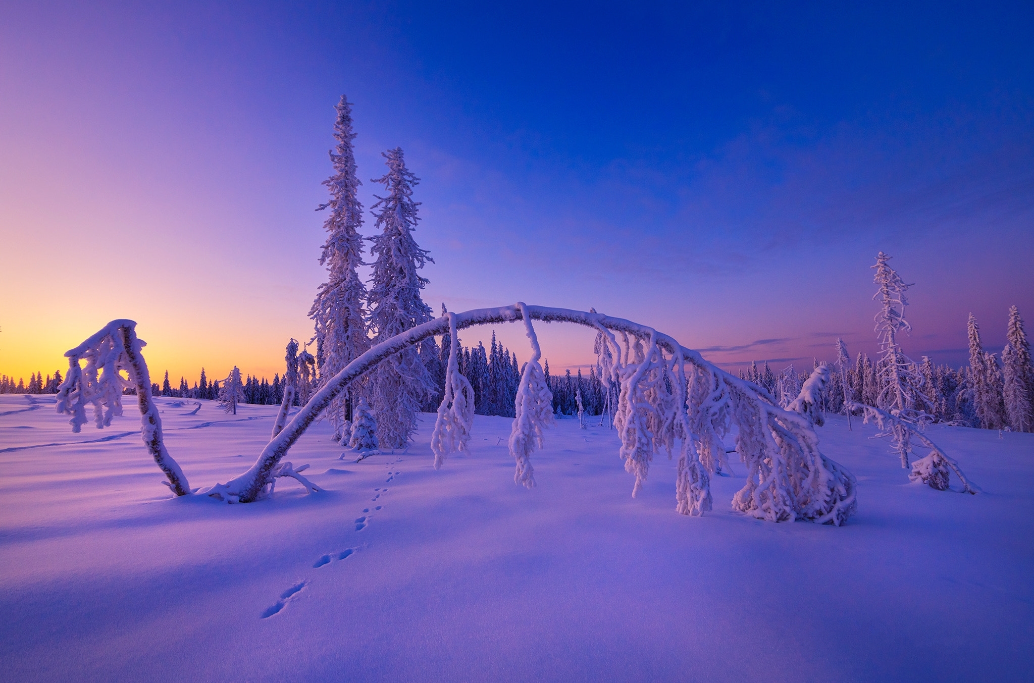 桌面上的壁纸芬兰的冬天 日落 冬季