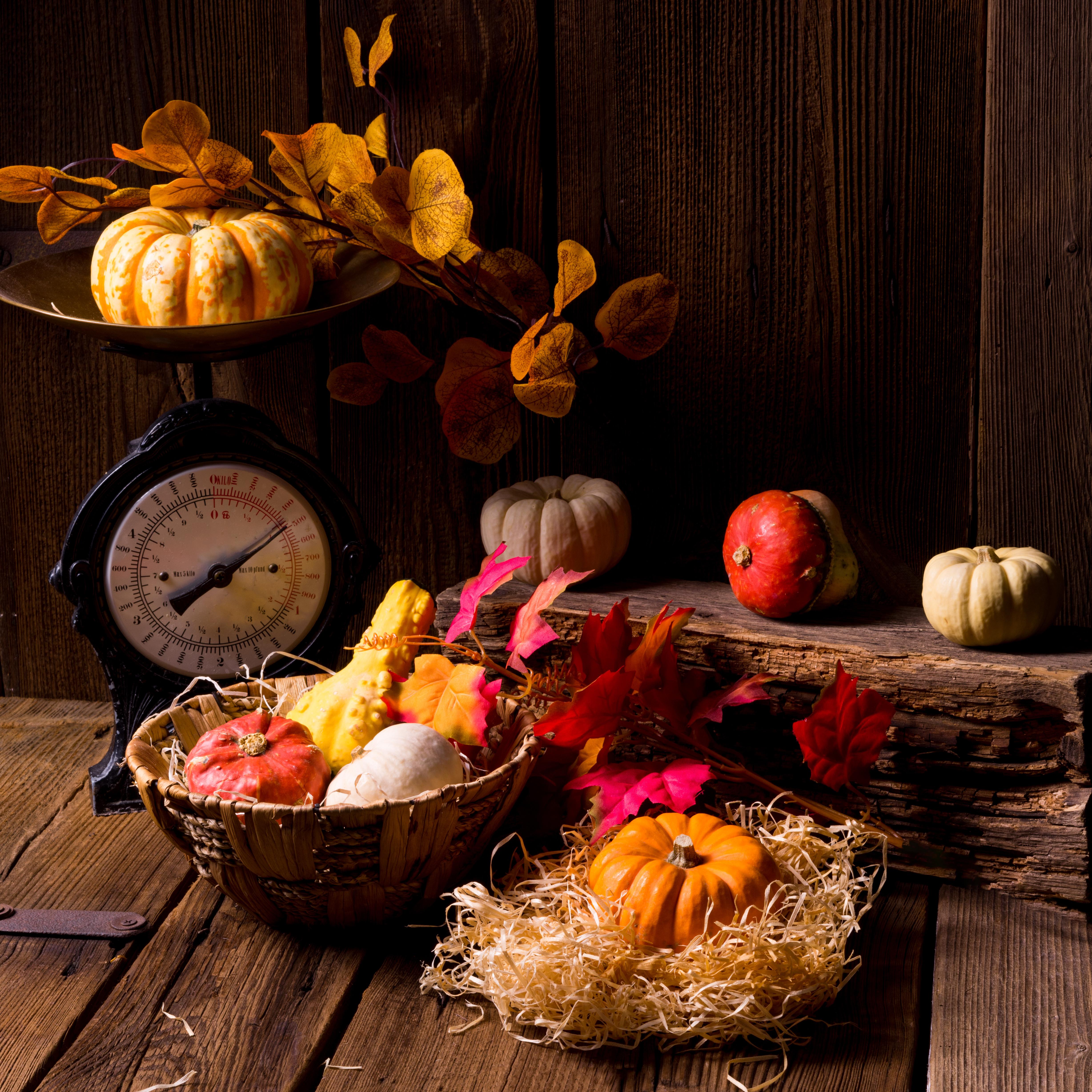 Wallpapers basket autumn composition of vegetables and fruits vegetables on the desktop