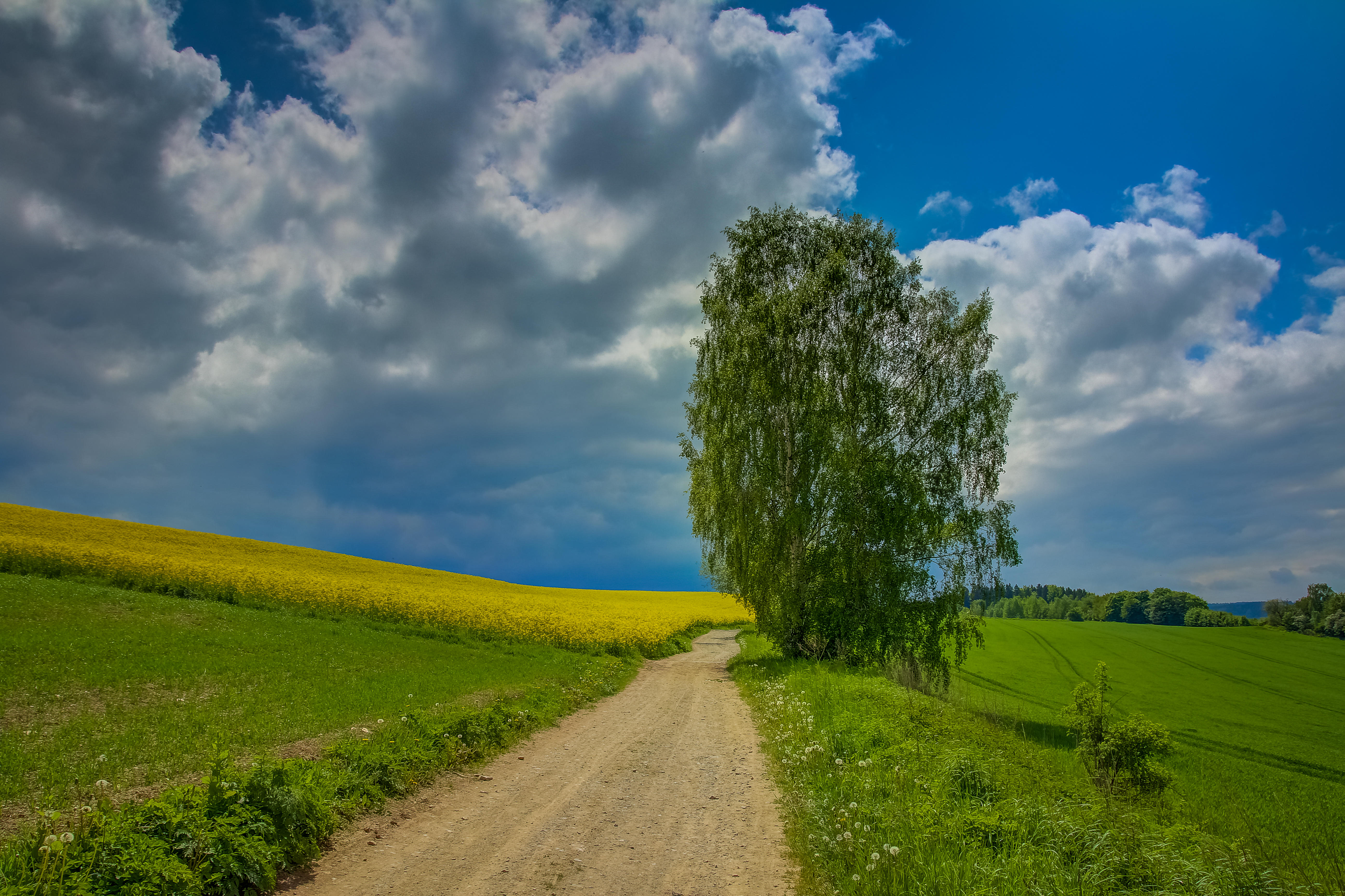 Wallpapers dirt road field landscapes on the desktop