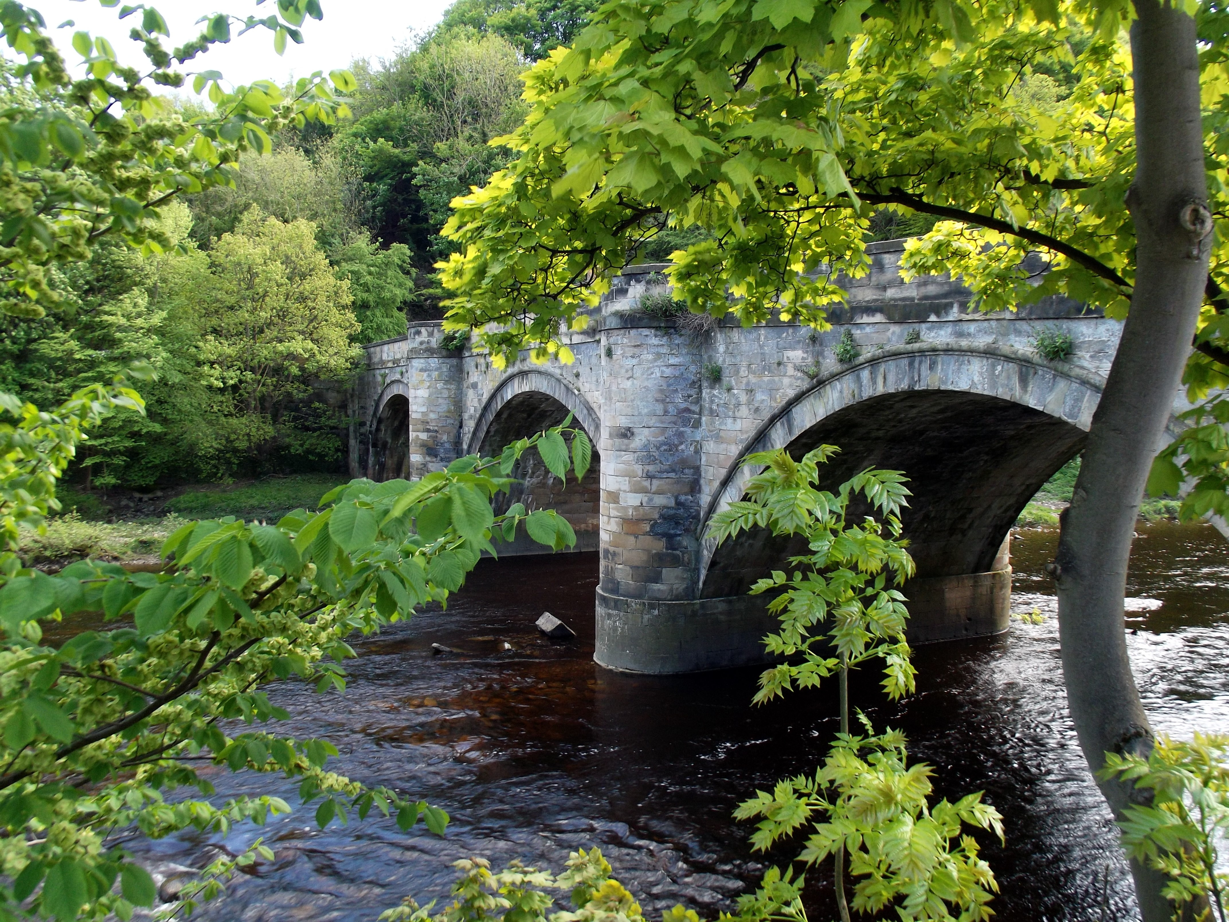 Free photo See pictures on the bridge, landscape, river