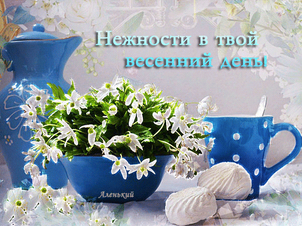 主题为鲜花 杯 春季的明信片免费下载