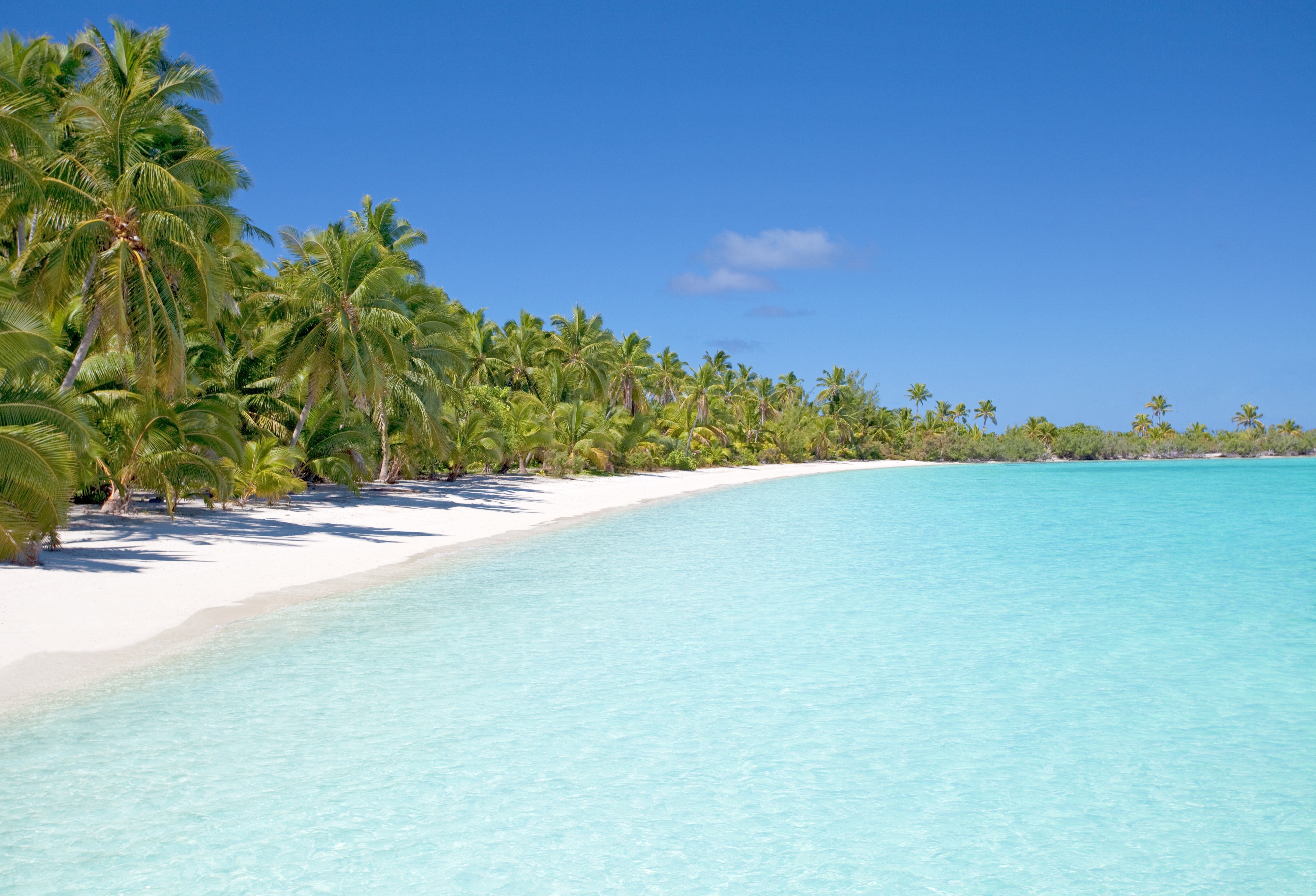 Wallpapers beach body of water caribbean on the desktop