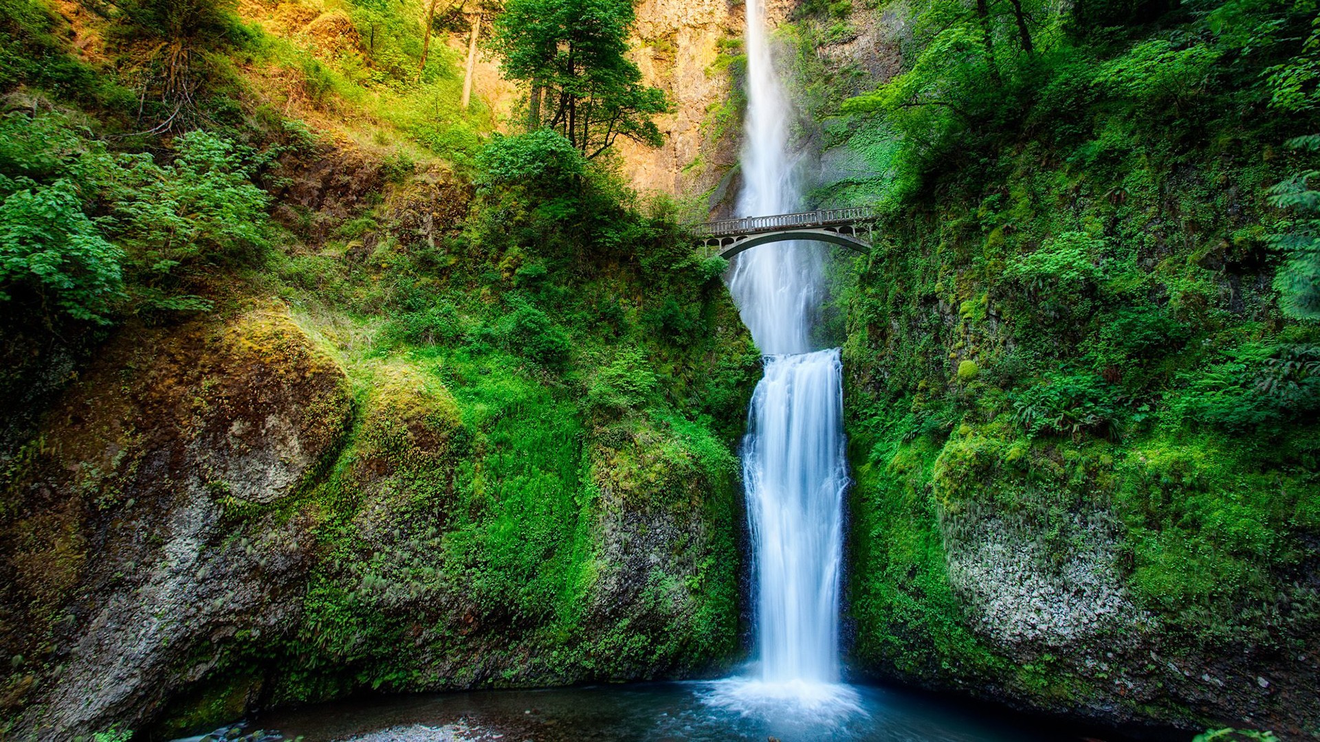 Free photo A bridge over a forest waterfall