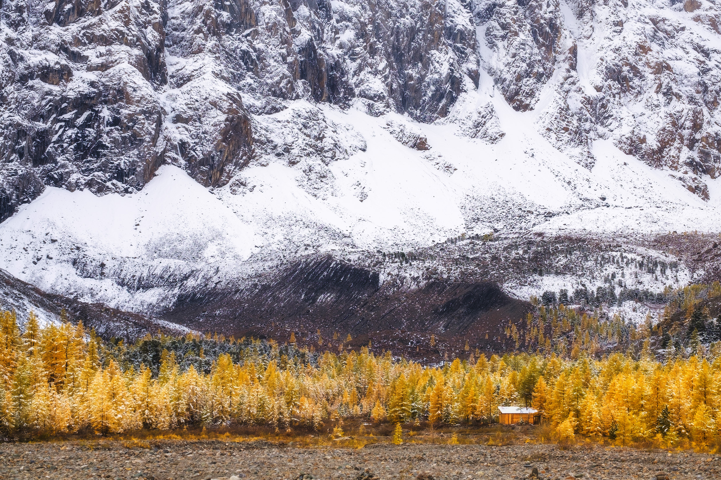 Free photo Meeting of winter and autumn