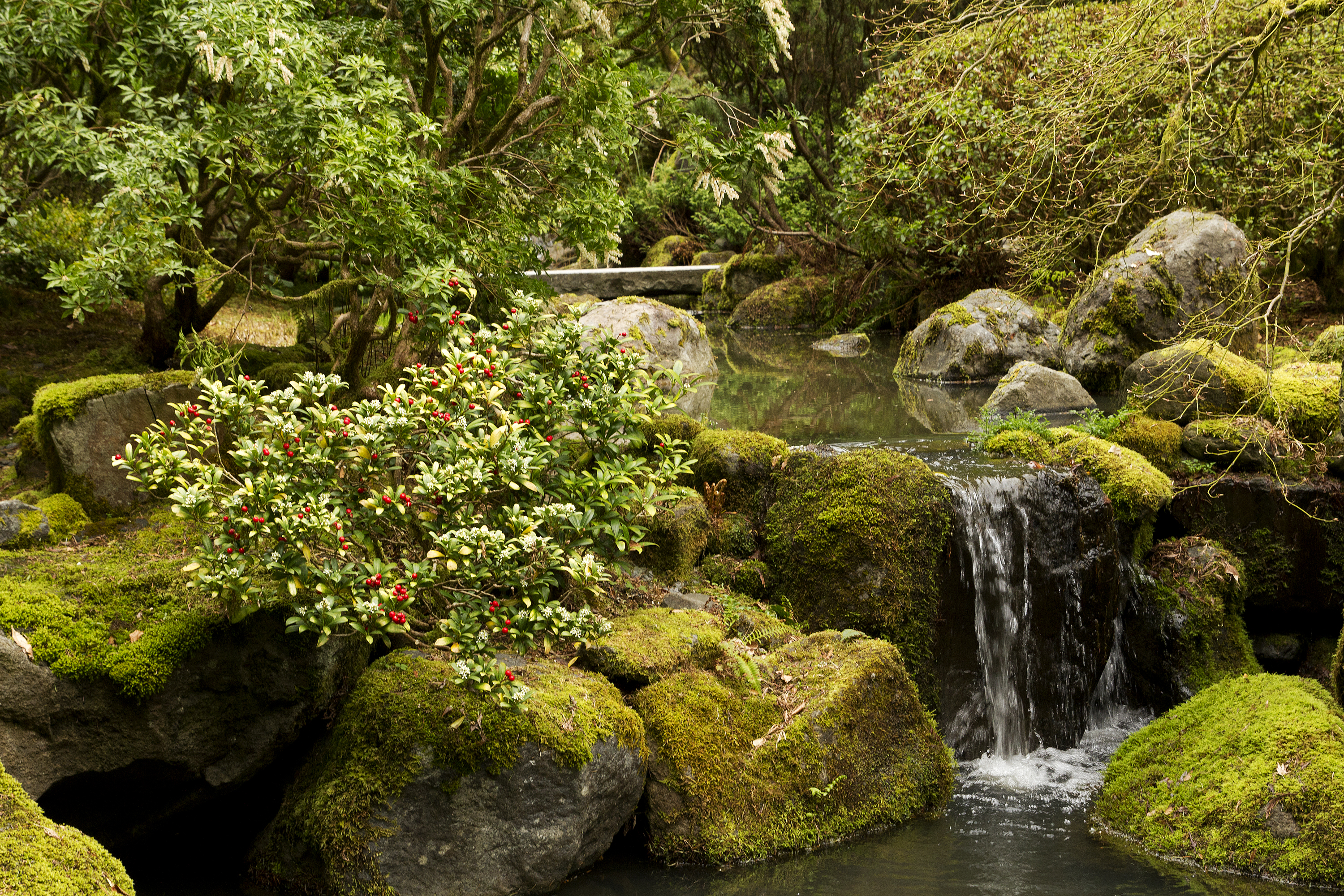 Wallpapers Gardens Waterfalls Stones on the desktop