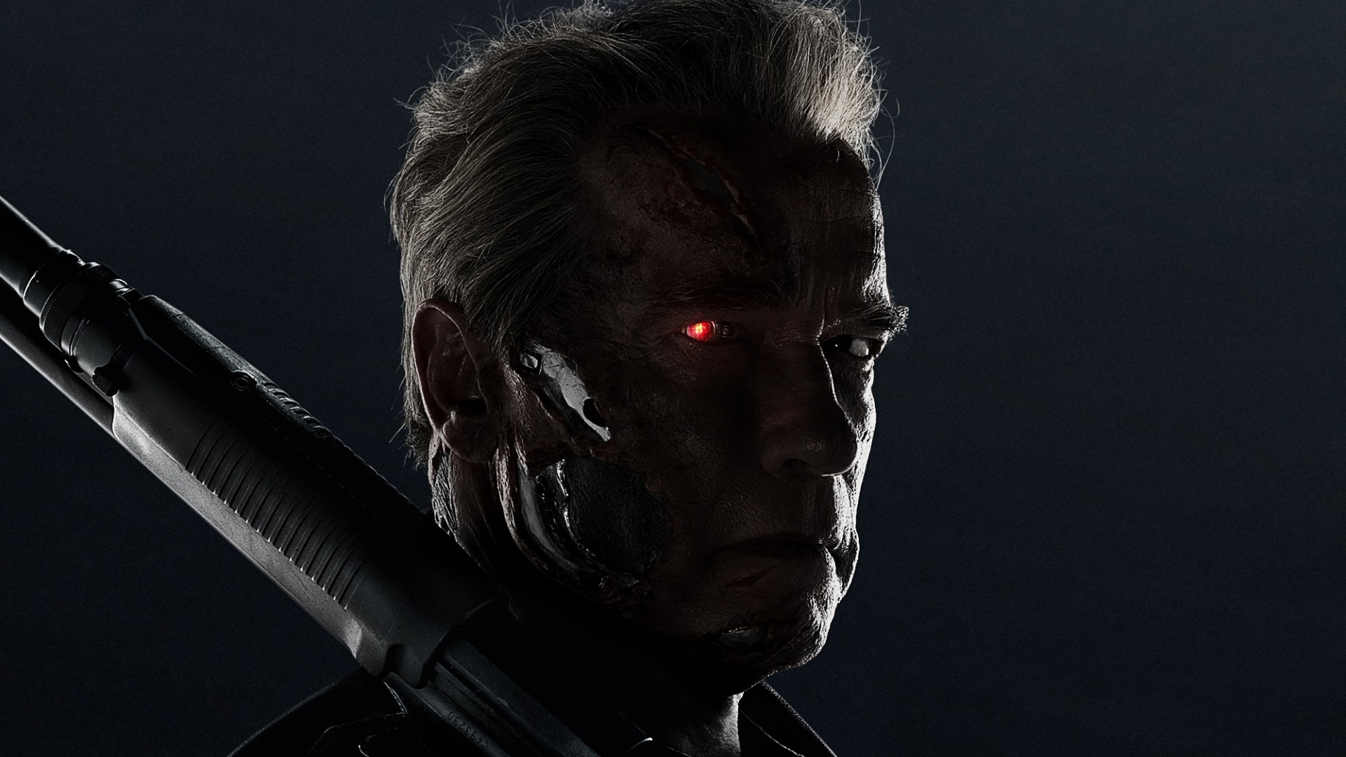 Wallpapers Arnold Schwartz terminator 6 on the desktop