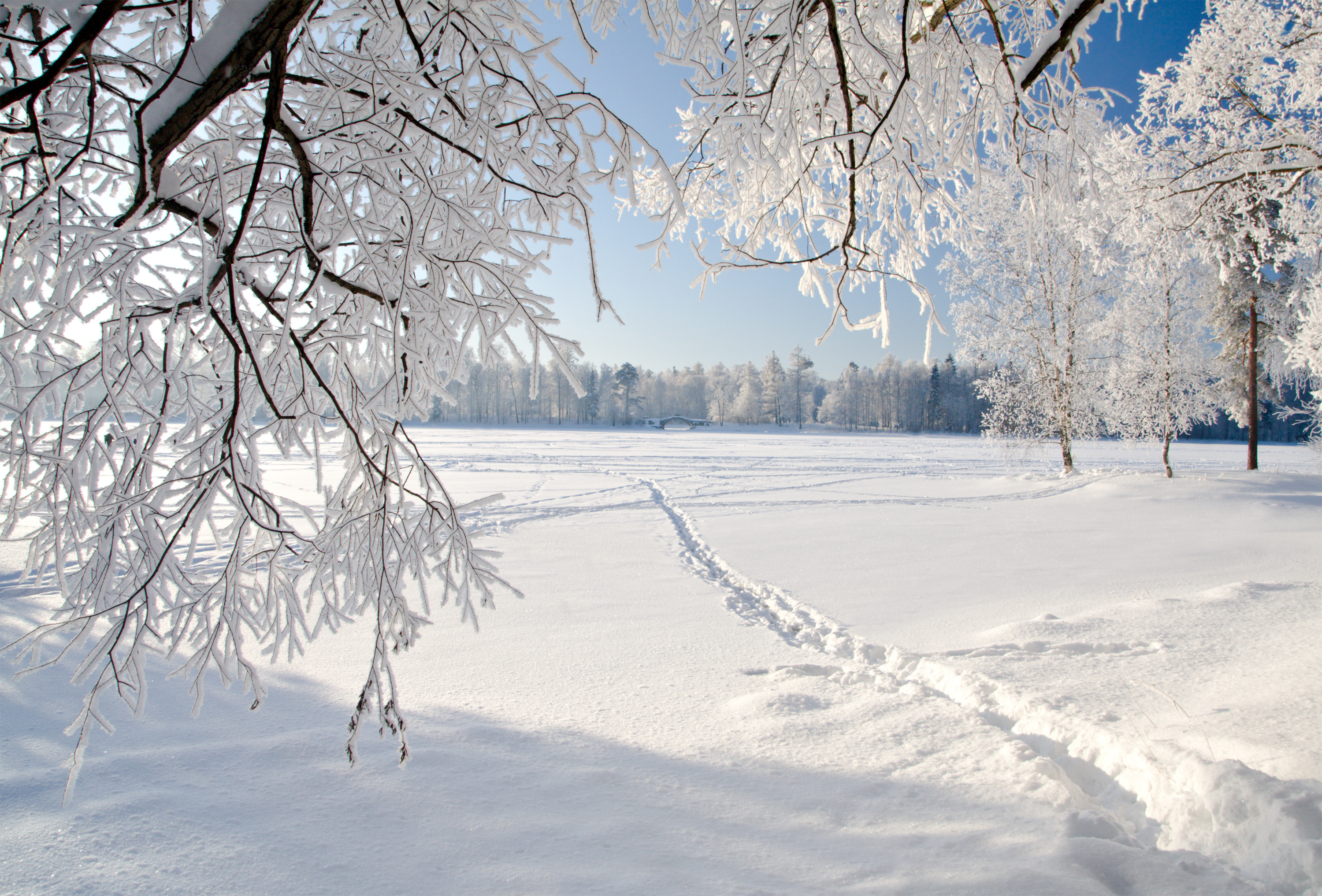 Wallpapers snow ice cold on the desktop