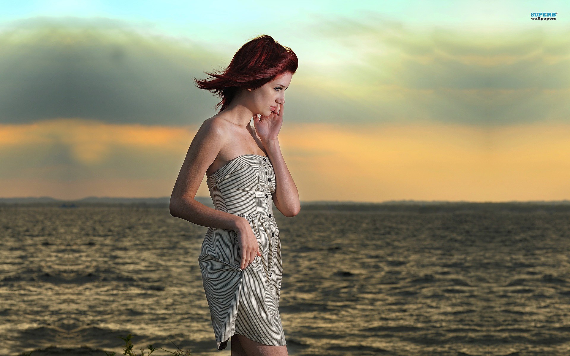 桌面上的壁纸日光 模型 日落