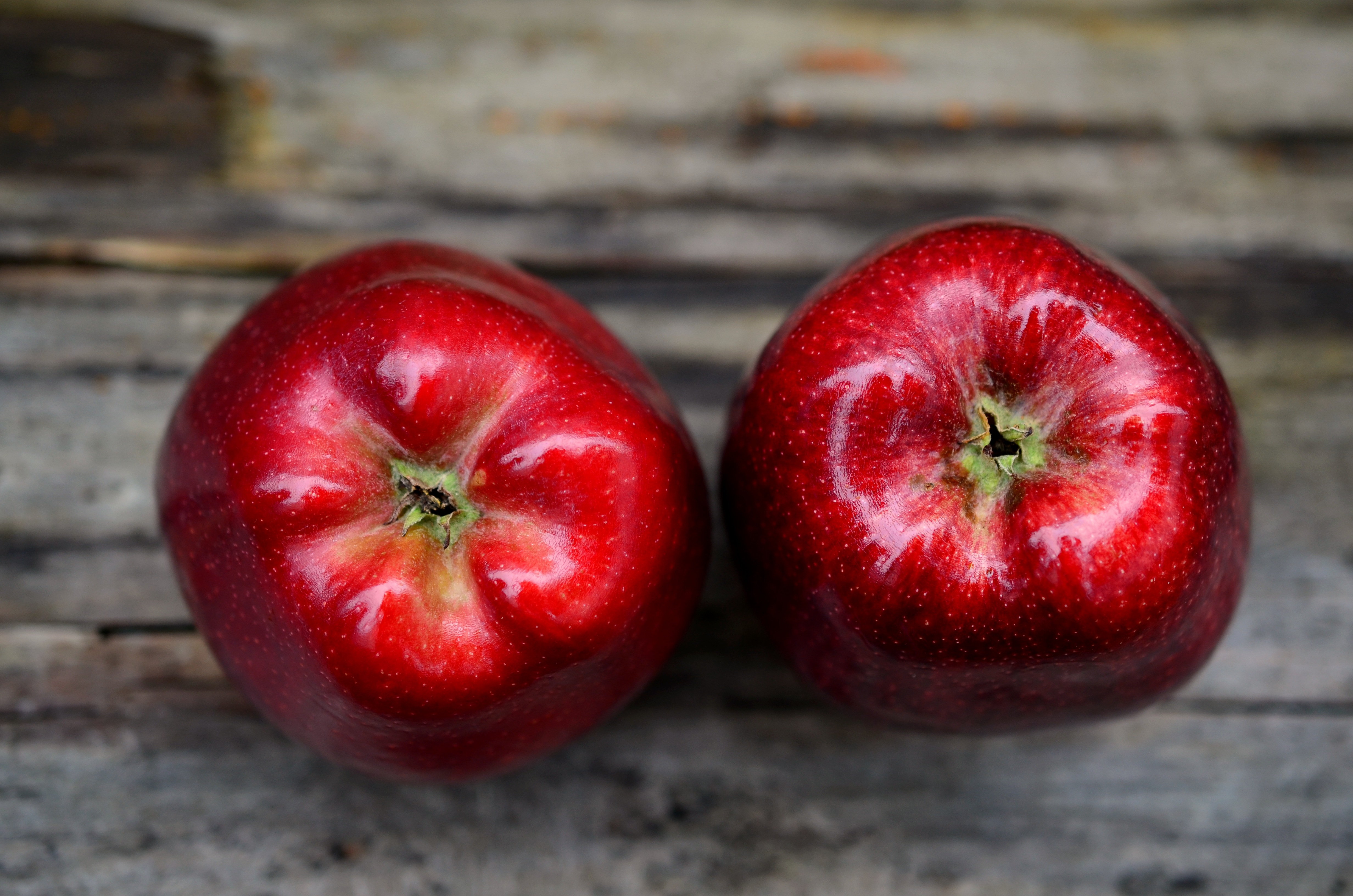 Free photo Ripe red apples