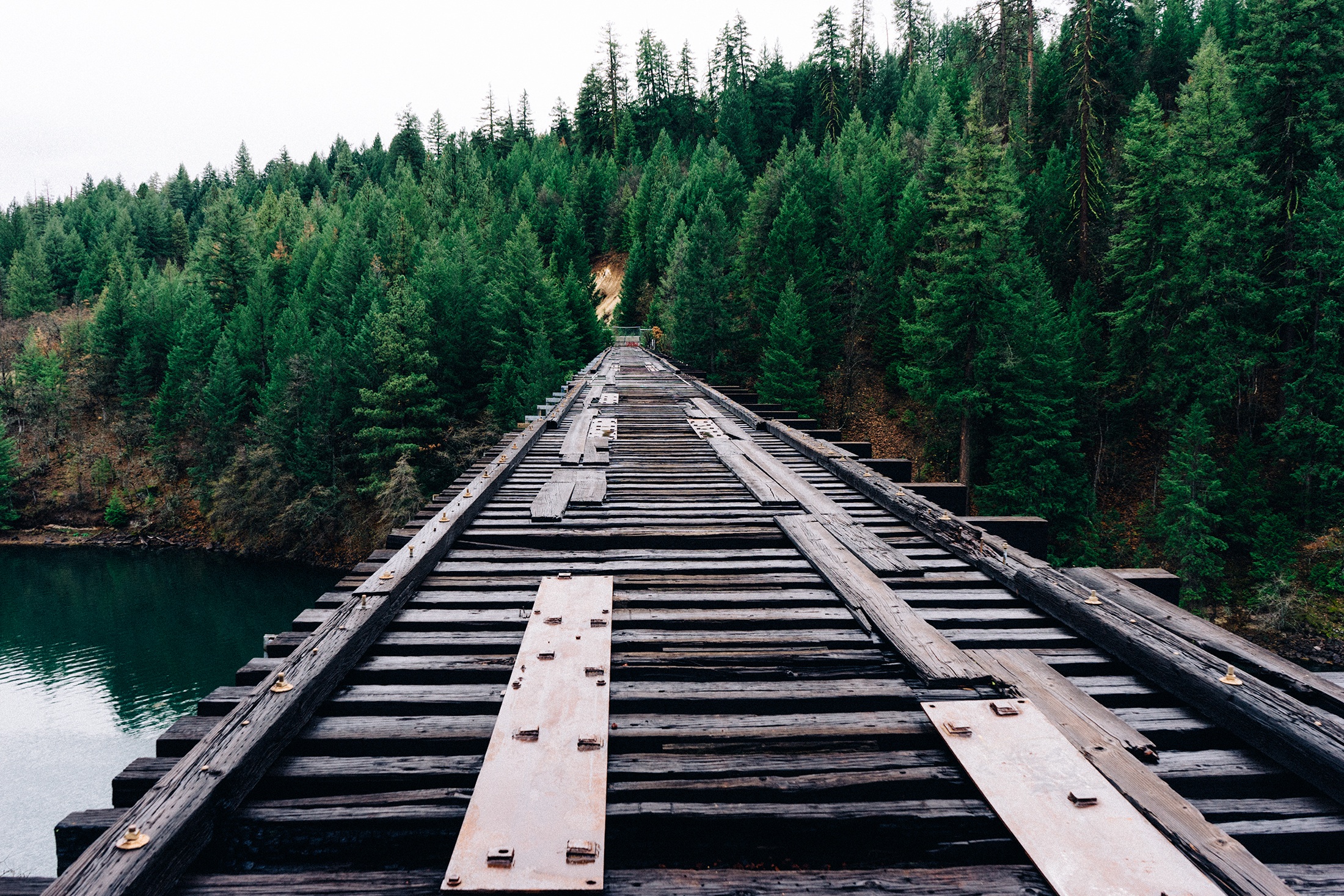 Free photo The old abandoned bridge leading into the woods across the river